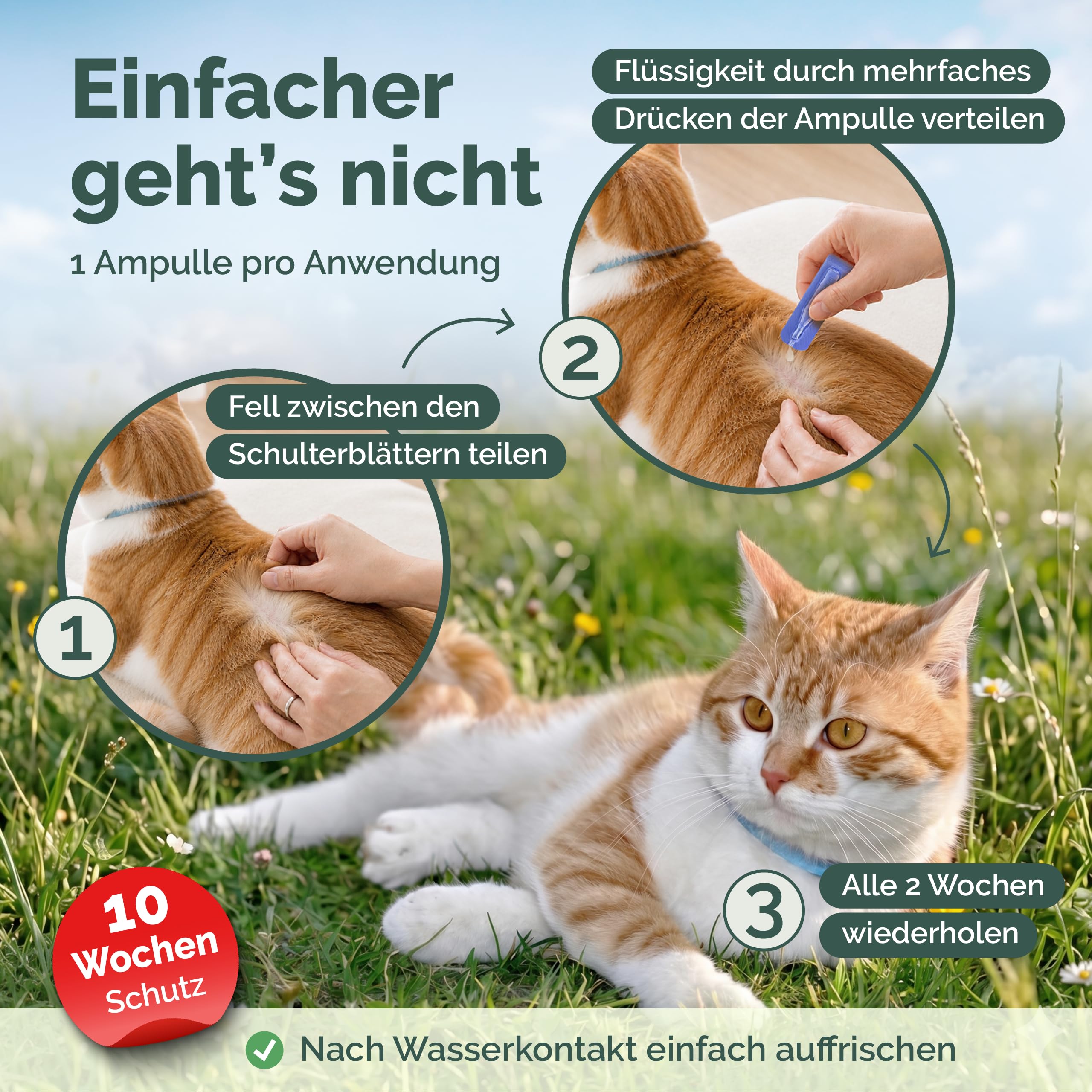 Zeckenschutz für Katzen - Spot-On mit Repellent-Wirkung (Duftstoff) gegen Zecken & Flöhe - 5 Ampullen für 10 Wochen - Für Katzen ab 2 Monaten ohne synthetische Insektizide - Made in Germany