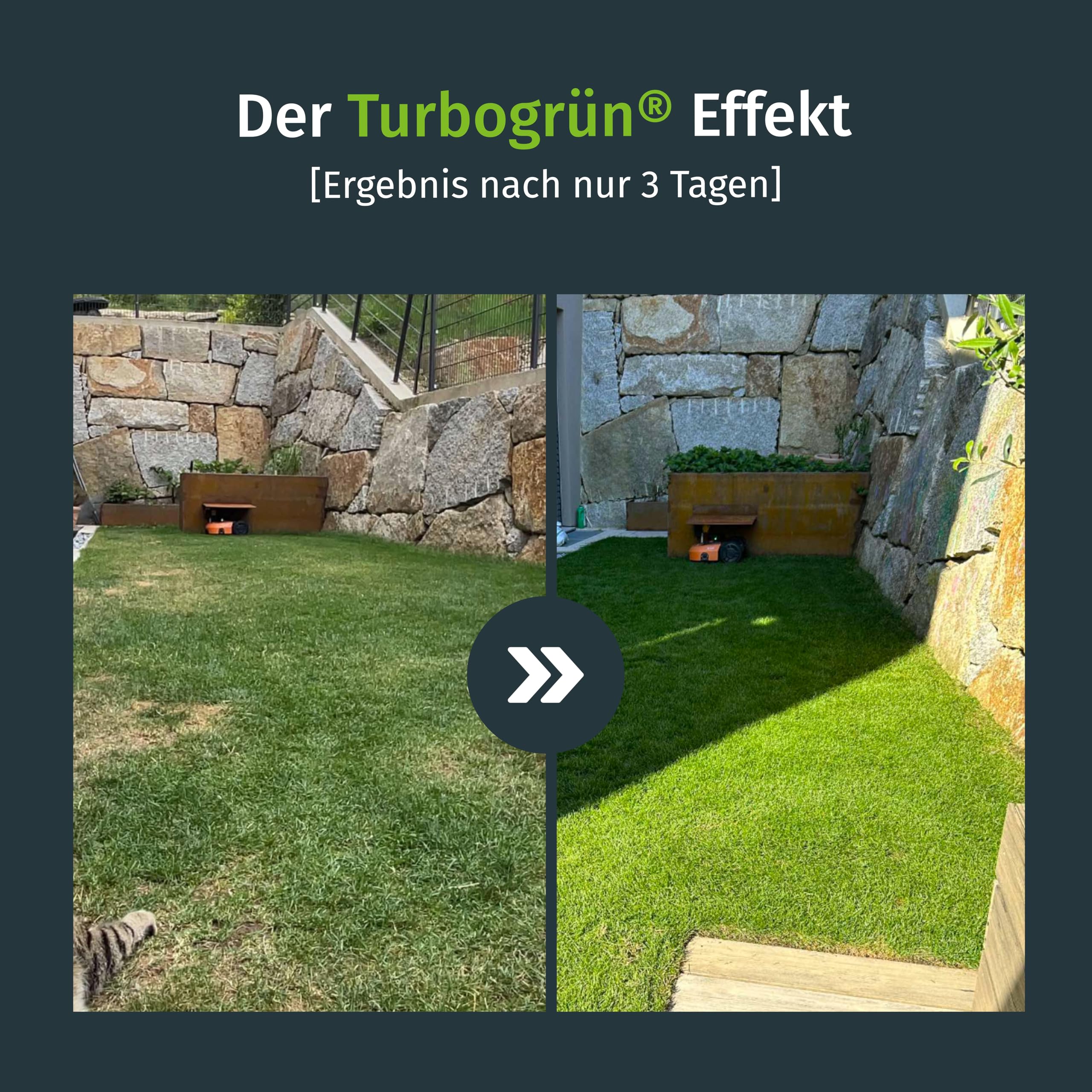 Sommer Premium Rasendünger Turbogrün, 2,5kg für 60m², Dünger gegen Moos, Ideal im Sommer, geeignet für Streuwagen, staubarmes Granulat, Rasen dünger