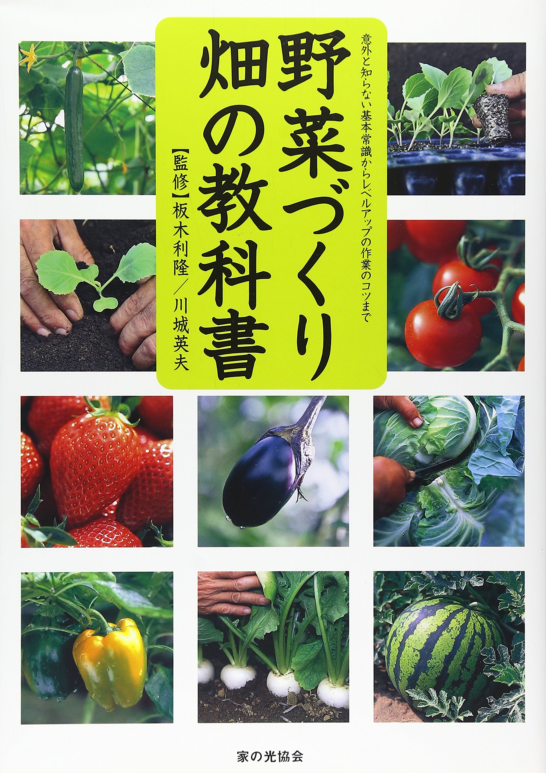 野菜づくり 畑の教科書 板木利隆 川城英夫 配送料無料 野菜づくり 畑の教科書 板木利隆 川城英夫 配送料無料