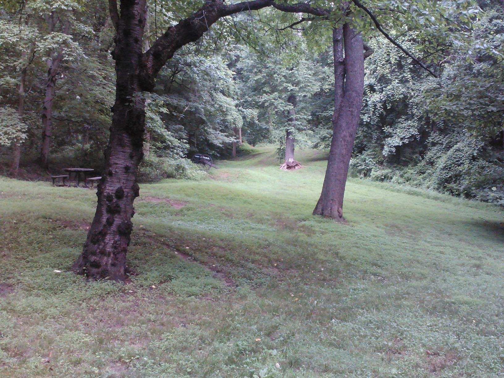 Telling the truth by accident