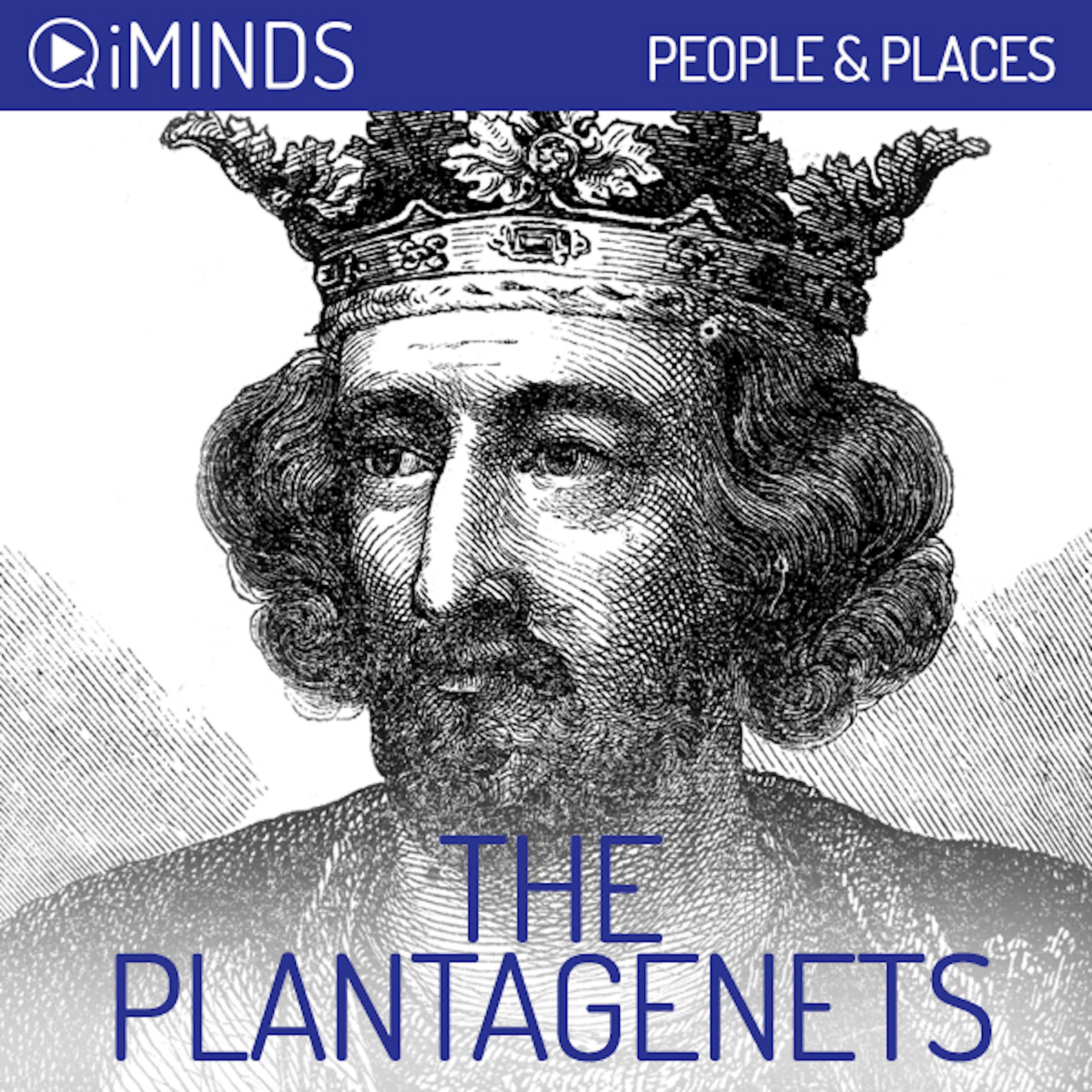 Cover art for The Plantagenets