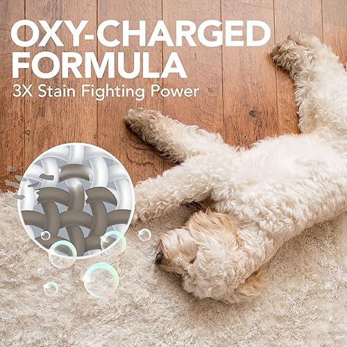Miniatura 2 de Solución simple Naranja Oxy Cargado las manchas y olor Remover Spray, 32oz
