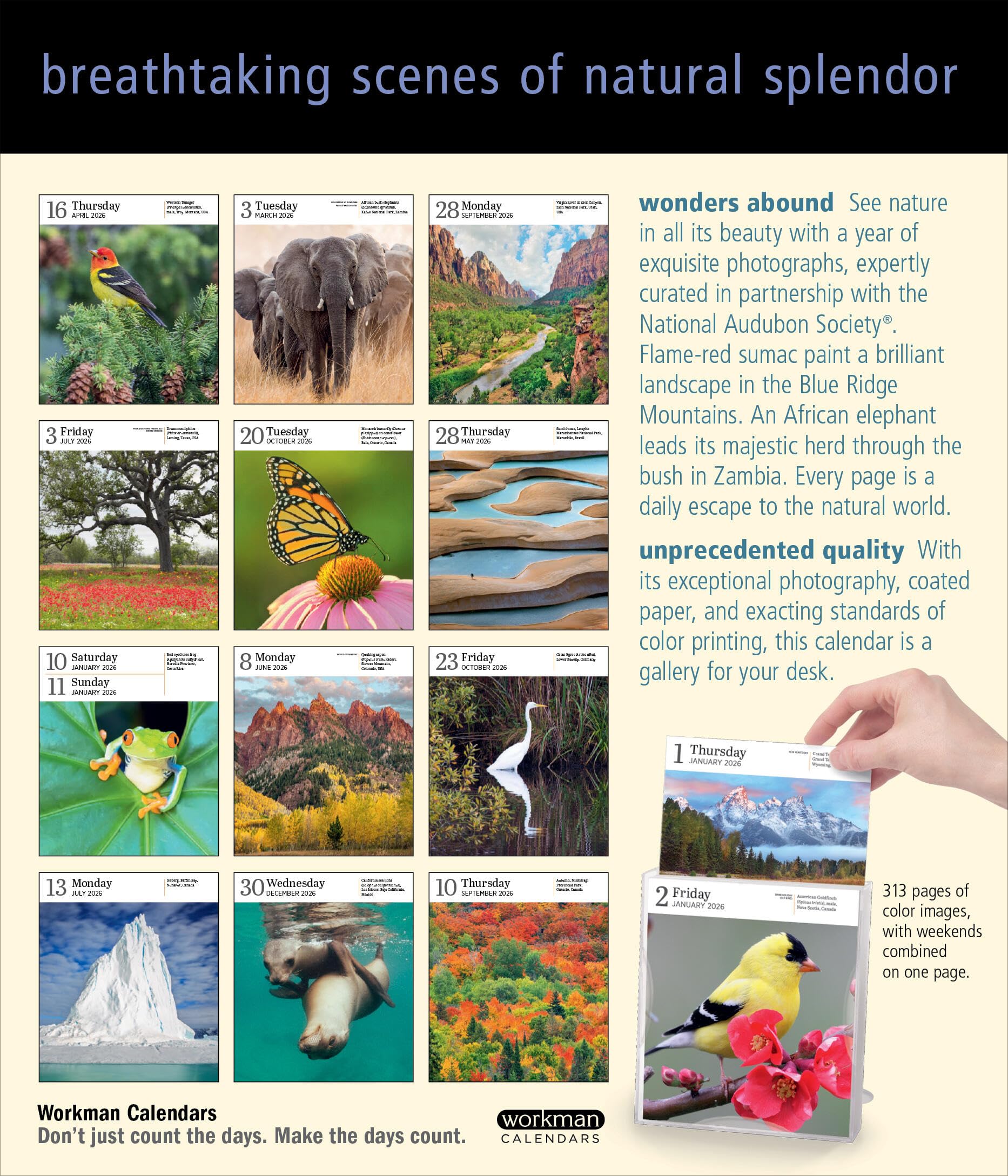 Audubon Nature Page-A-Day® Gallery Calendar 2026