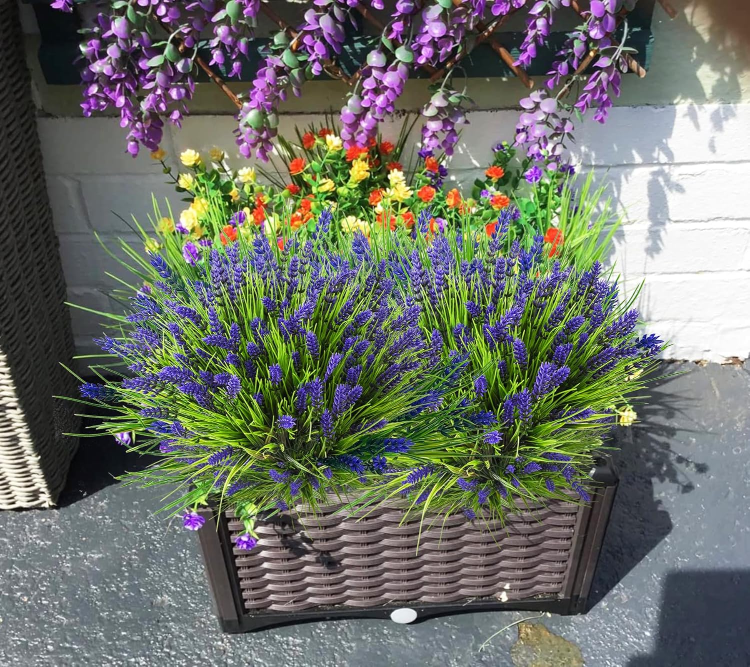 Best 5 Flowers for Outdoor Indoor Garden Home Decoration 10 Flowers for Outdoor Indoor Garden Home Decoration