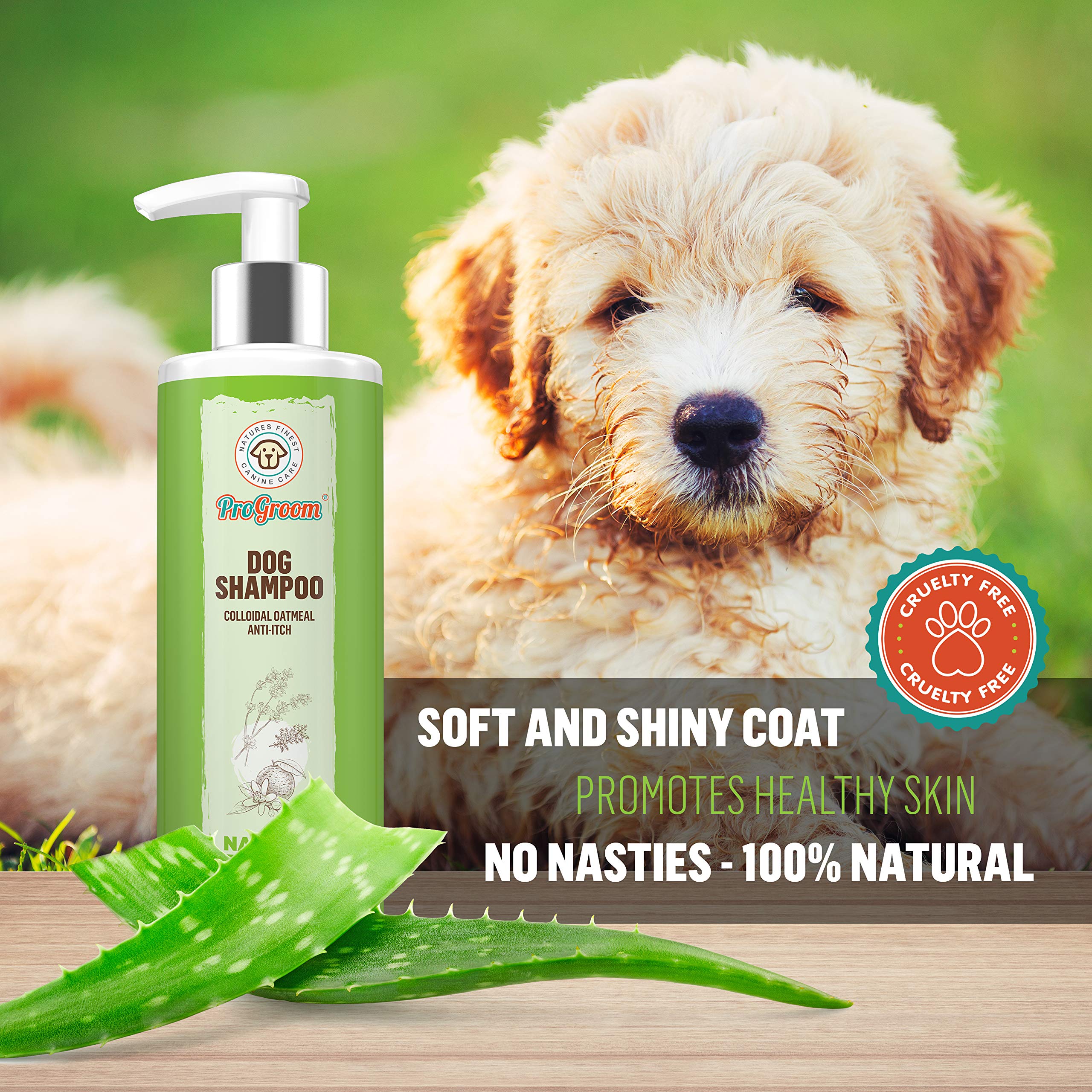 progroom dog shampoo