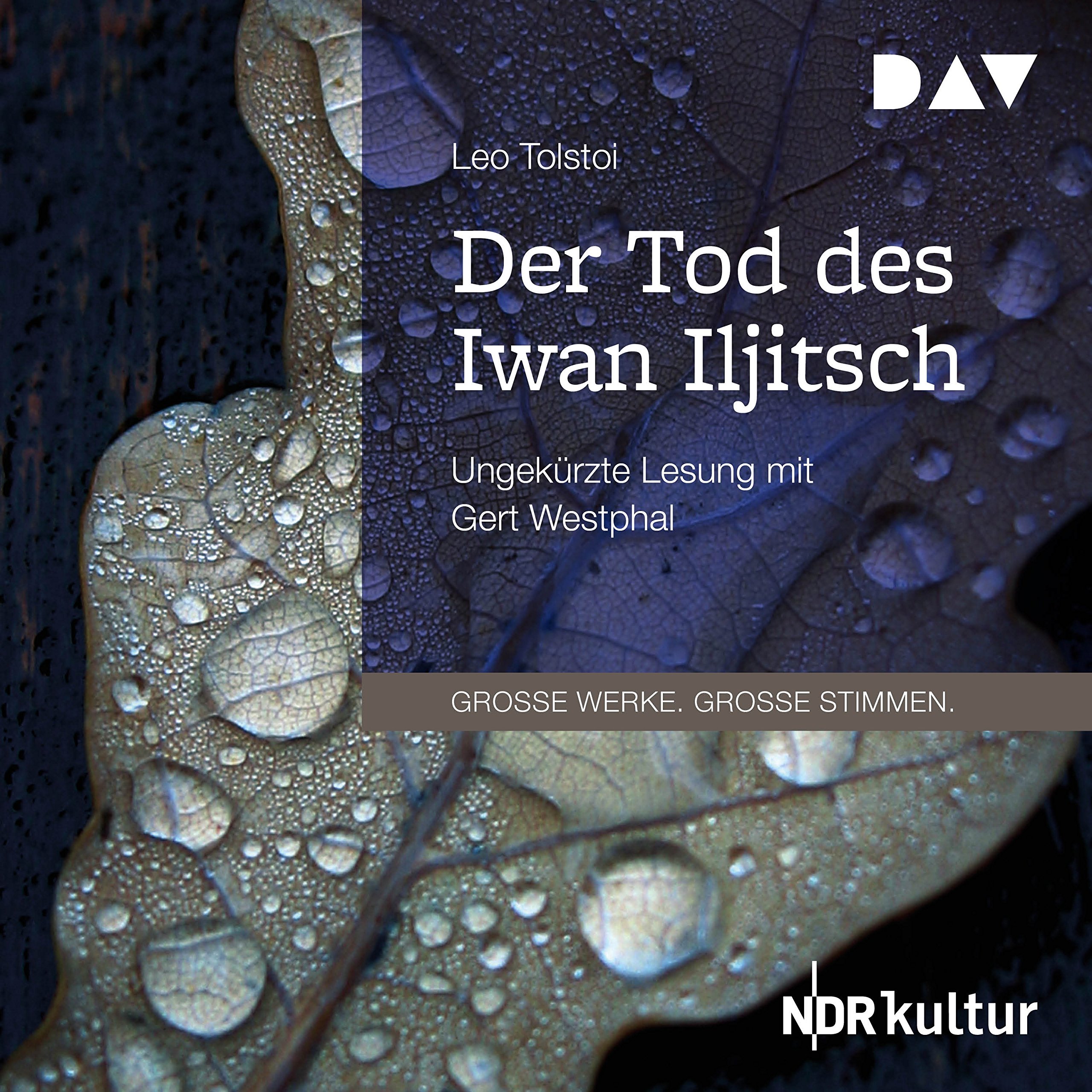 Cover art for Der Tod des Iwan Iljitsch