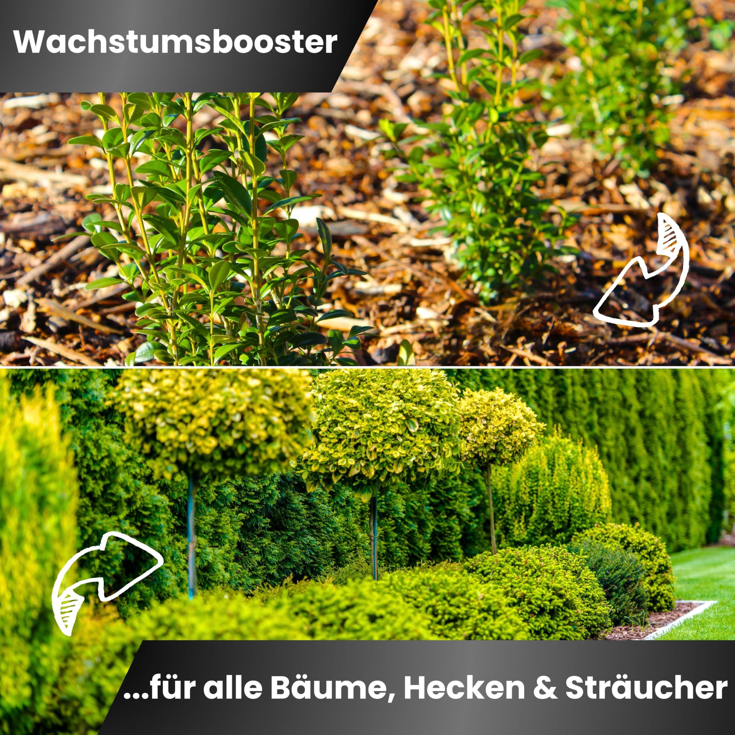 Greenyp Universal Heckendünger I 10kg für 300m² I für alle Bäume, Sträucher & Hecken I Koniferen Langzeitdünger mit Eisen + Magnesium und 3 Monate Düngekraft I Schnelles Wachstum Neuanpflanzungen