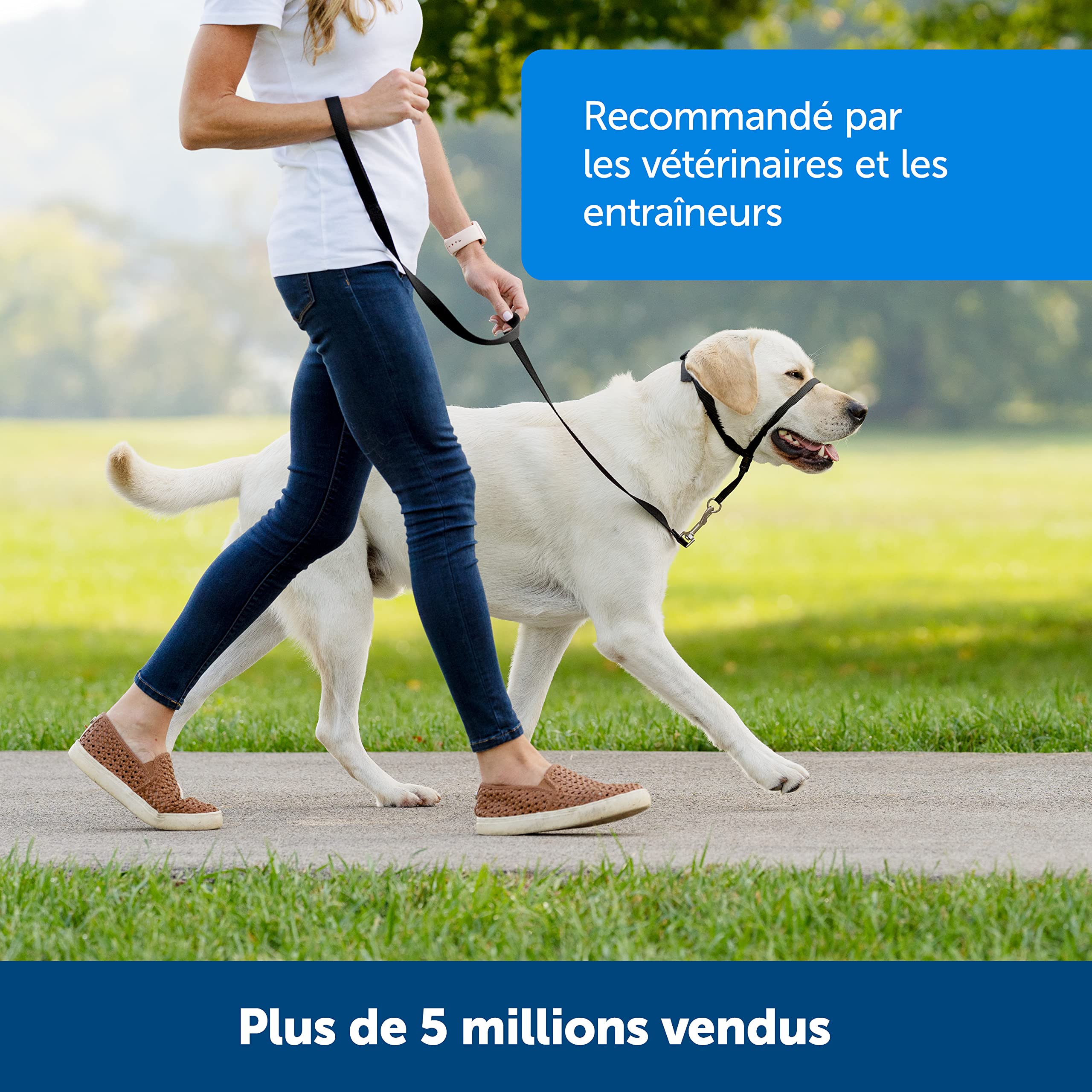 PetSafe - Licol Easy Walk pour Grand Chien (L), Anti-Traction, Confortable, avec Laisse en Nylon (Inclus) - Rouge