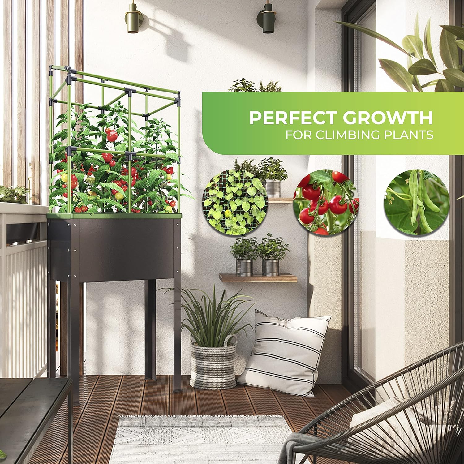 BioGreen Trellis for Raised Garden Bed with Watering System Heidelberg | 2.3 x 2 x 1ft | Ideal Growth for Climbing Plants | Ideal for Balcony/Garden