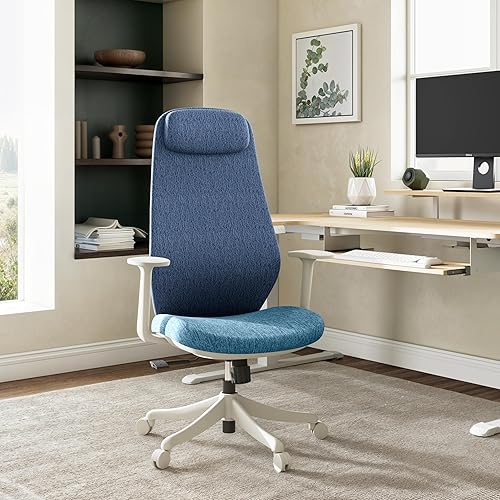 EUREKA ERGONOMIC Skylar-Lite - Silla de oficina de malla azul, silla de escritorio ergonómica con reposacabezas ajustable, sillas de escritorio de
