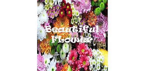 Beautiful Flower