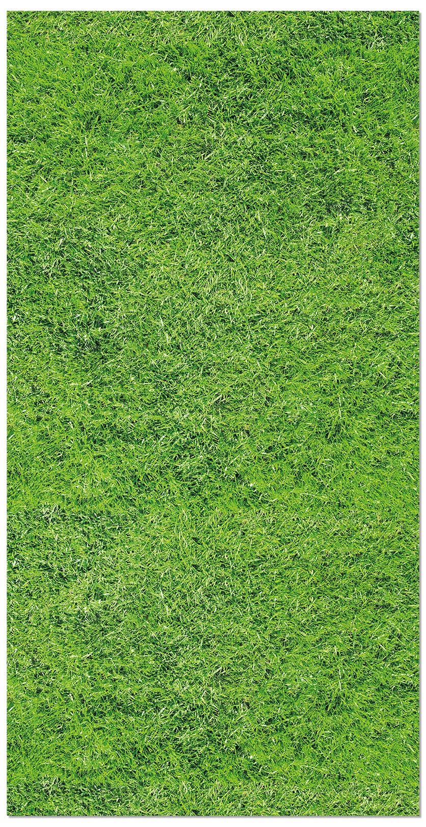 Panorama Alfombra Vinílica Césped 300x200 cm - Alfombra Cocina Vinilo - Alfombra Salón Antideslizante, Antihongos e Ignífuga - Alfombras Grandes - Alfombras PVC