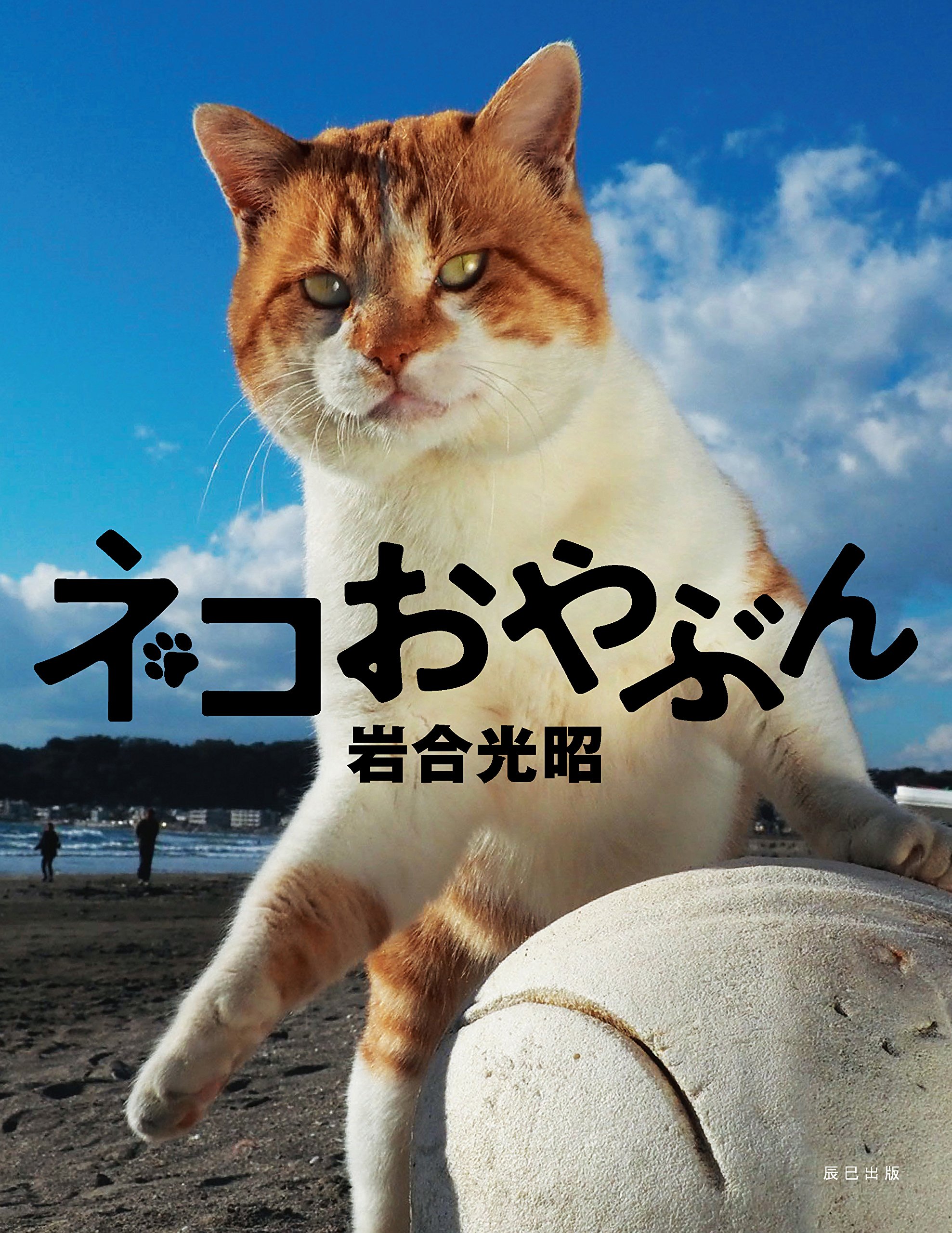 岩合光昭 写真集 ネコおやぶん 岩合 光昭 本 通販 Amazon 岩合光昭 写真集 ネコおやぶん 岩合 光昭 本 通販 Amazon