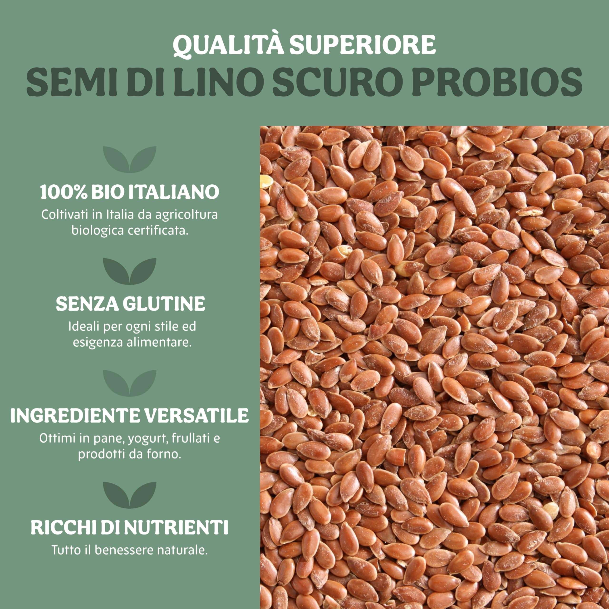 Probios Semi di Lino Fondente Bio - Semi di Lino Bio Senza Glutine - Ricco di Minerali e Fibre - Confezione da 5kg