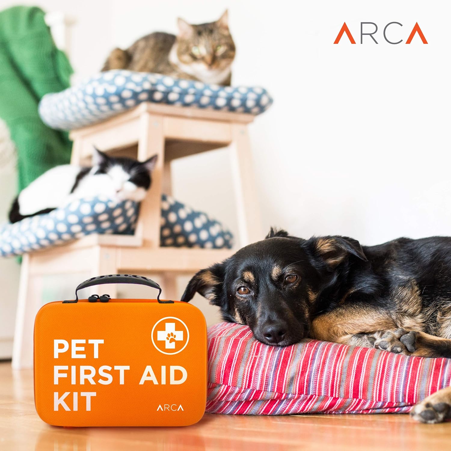 dog first aid kit petco