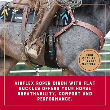 Weaver Equine Airflex Roper Horse Cinch, Anti-Slip Nylon Webbing Saddle Cinch Girth with Flat Buckle, Western Horse Riding Supplies, Black