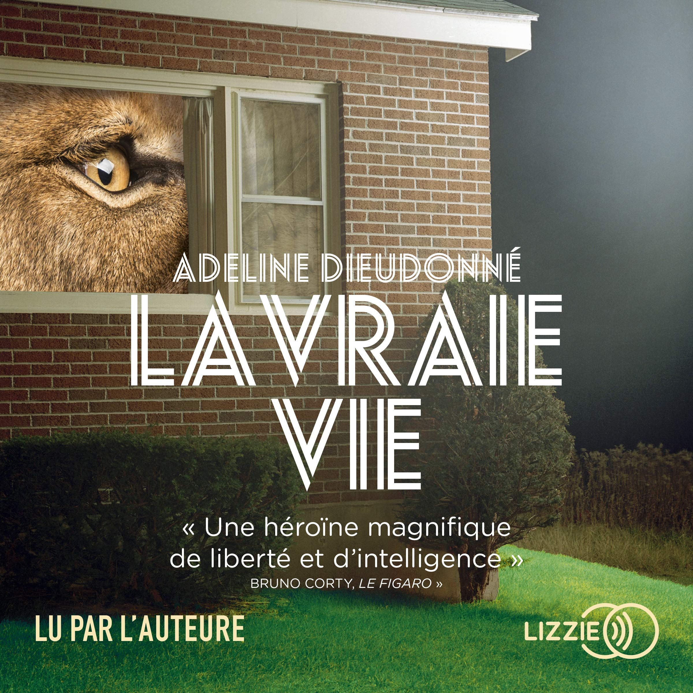 Cover art for La vraie vie