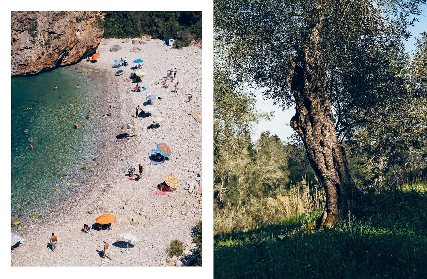 Yiayia: Time-perfected Recipes from Greece’s Grandmothers - Image 5