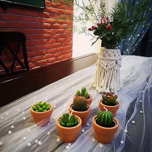 Miniatura 7 de 18 piezas de decoración de fiesta de cactus, regalos de fiesta bohemia, velas suculentas a granel para baby shower, regalos de agradecimiento, velas