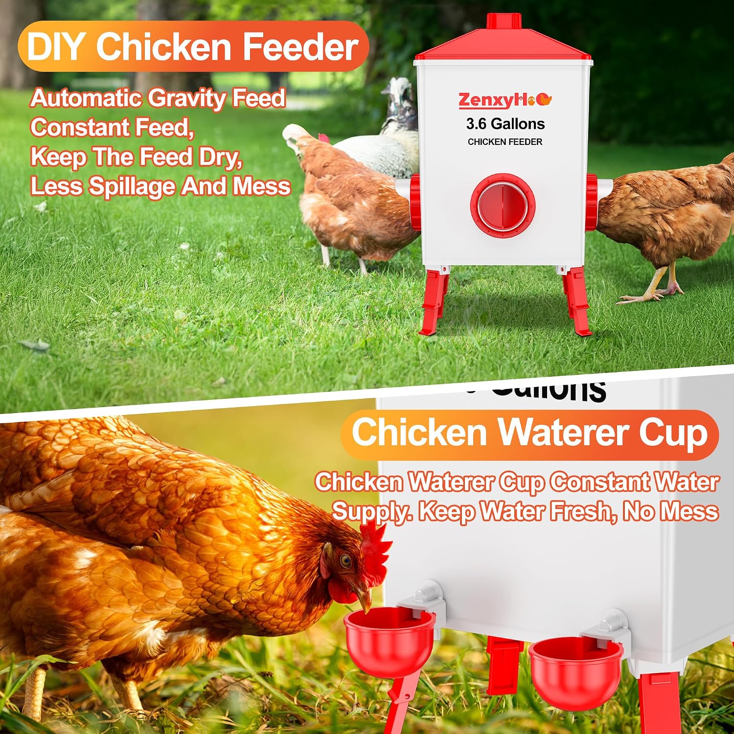 ZenxyHoC No Waste Chicken Feeders and Waterers - 4 Set with Water Cups image 3