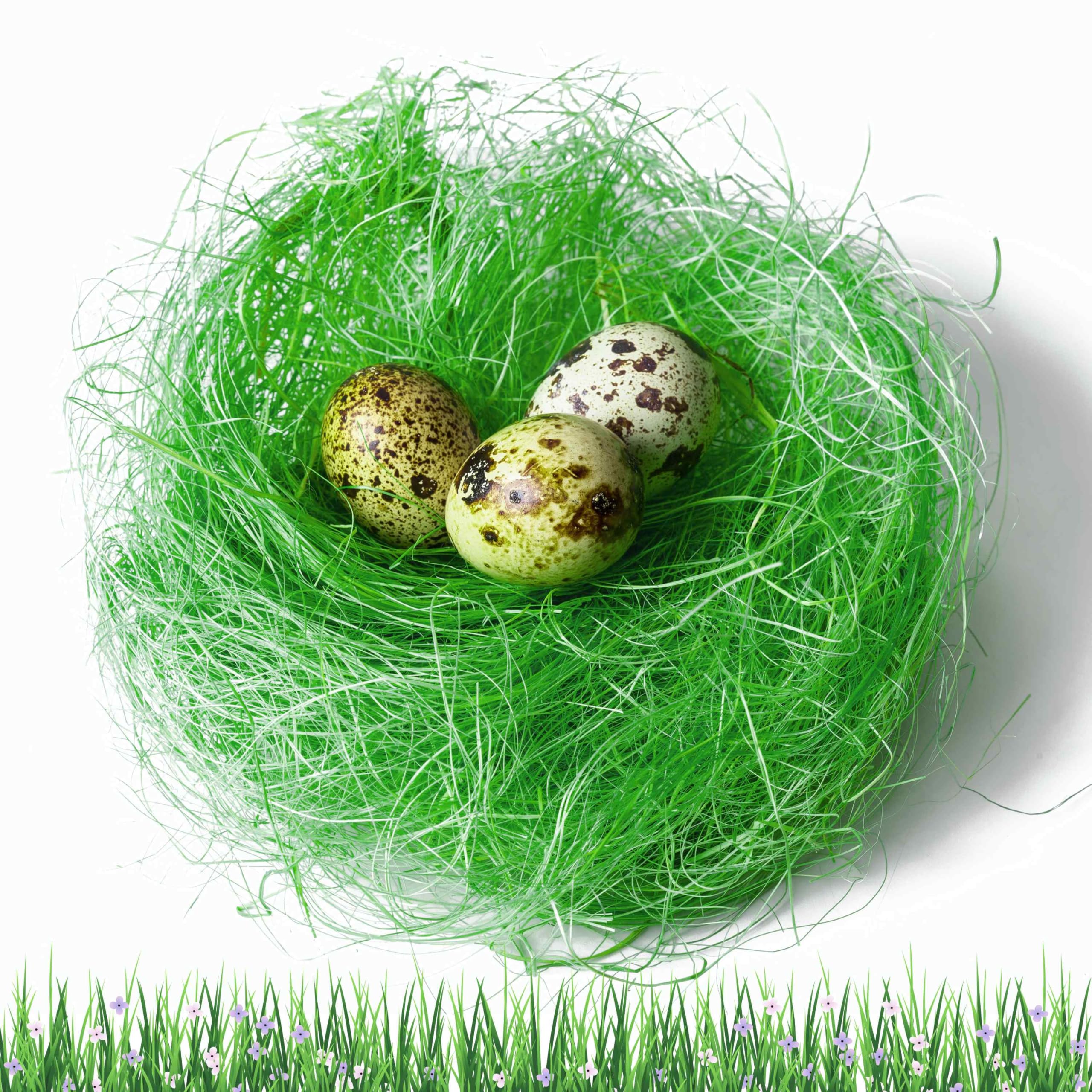 Srvertex Green Grass (30G) 30G Easter Grass - Ideal Basket Fillers For Art And Craft, Bonnet Decorations, And Hampers, Raffia Shredded Tissue Artificial Grass For Easter Decorations