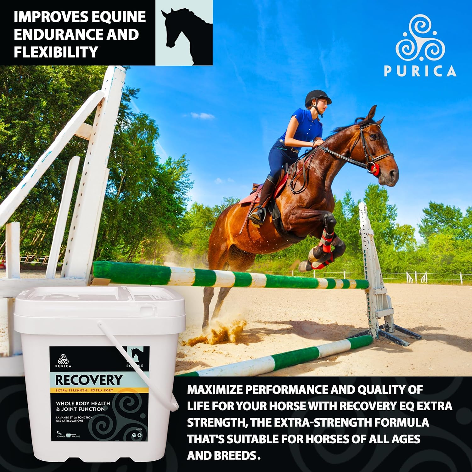 PURICA Recovery Extra Strength - Equine Joint Supplement - Comprehensive Support for Horses - Ideal Horse Joint Supplement for Senior Horses, MSM Powder Included - 11 lb Powder