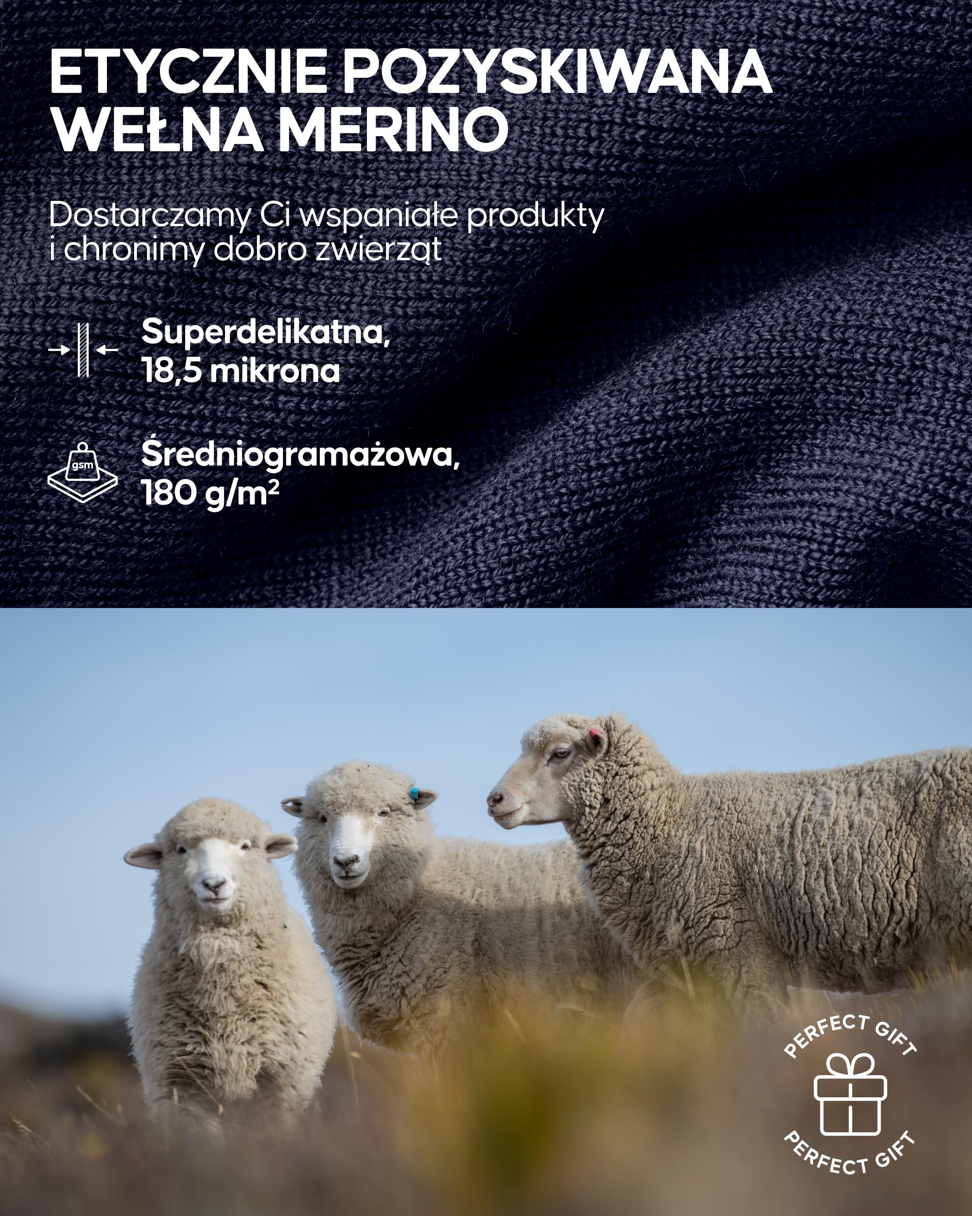 DANISH ENDURANCE Bielizna Termoaktywna Damska z Wełny Merino, Zestaw Odzieży Termicznej, Długie Legginsy Damskie, Top i Spodnie