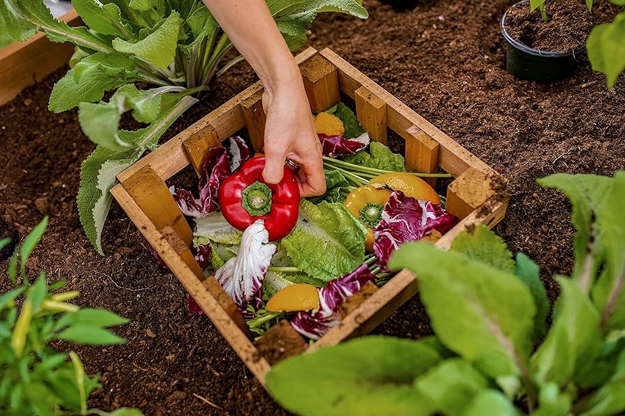 ヴァージニア('11米) $_57.JPG?set_id=8800005007