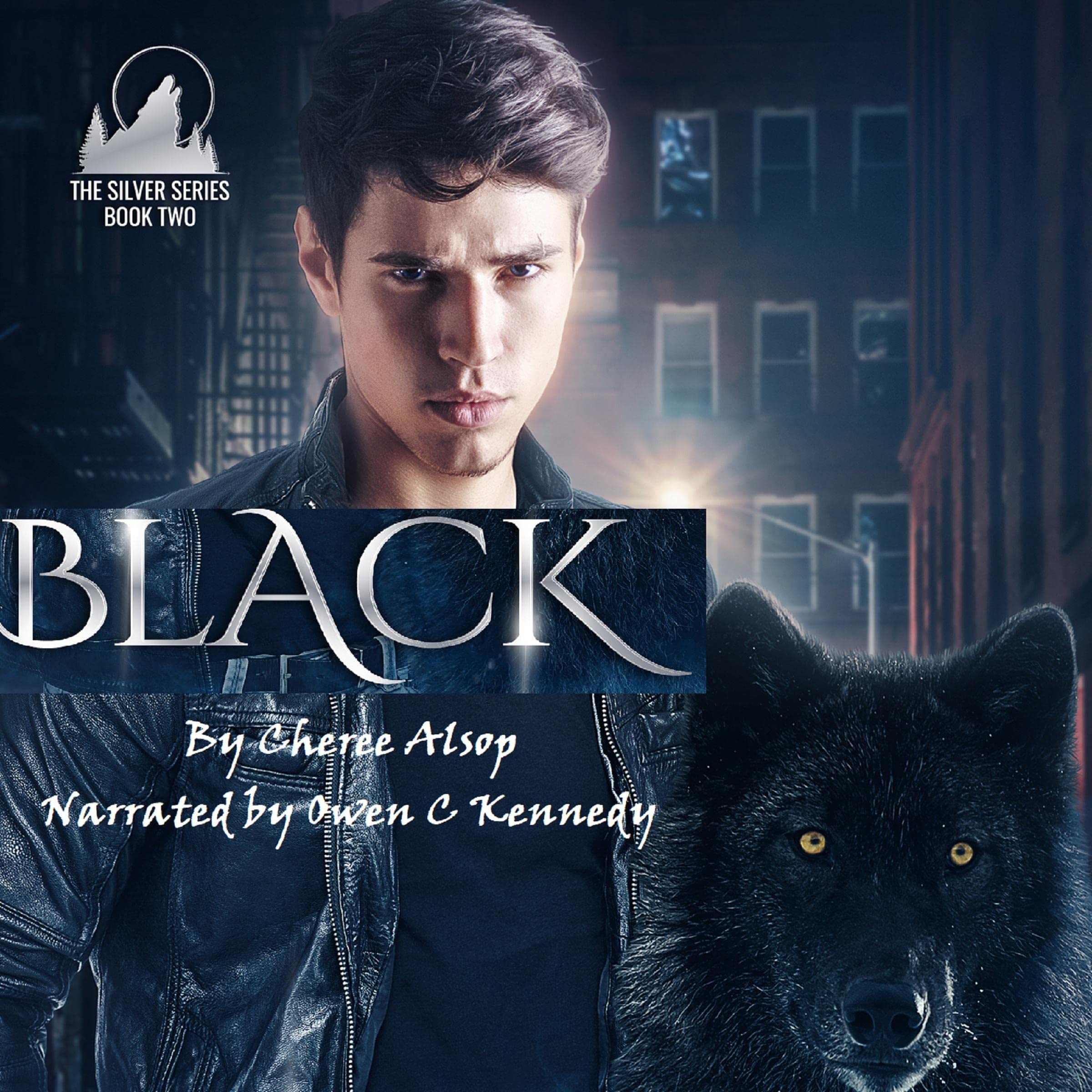 Cover art for Black: The Silver Series, Book 2