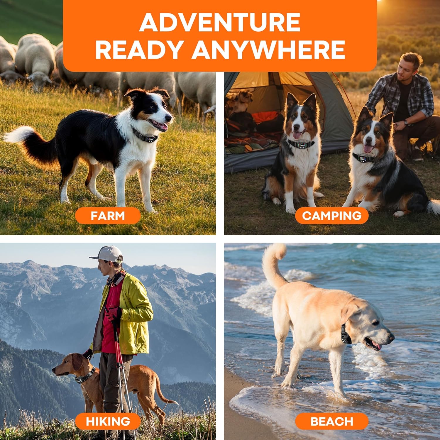 GPS Wireless Dog Collar Fence System, Electric Fence for Dogs with UBLOX Chip, 55-6000FT Range, 4-Zone Progressive Correction & 3 Modes, IPX7 Waterproof GPS Dog Collar for Outdoor Use