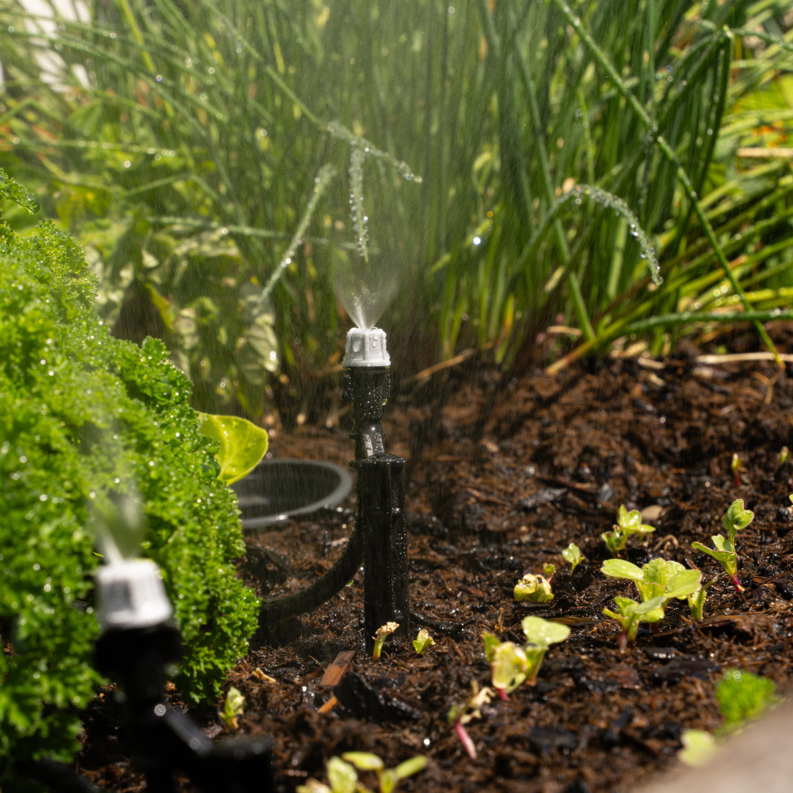 Esotec Solaire Système D'Hyrrigation Projection Professional - Automatique Irrigation Sur Jusqu'À 20 Sprühnebel-düsen - Simple Et Individuel - pour Jardin Et Plantes Conteneurisées (101122)