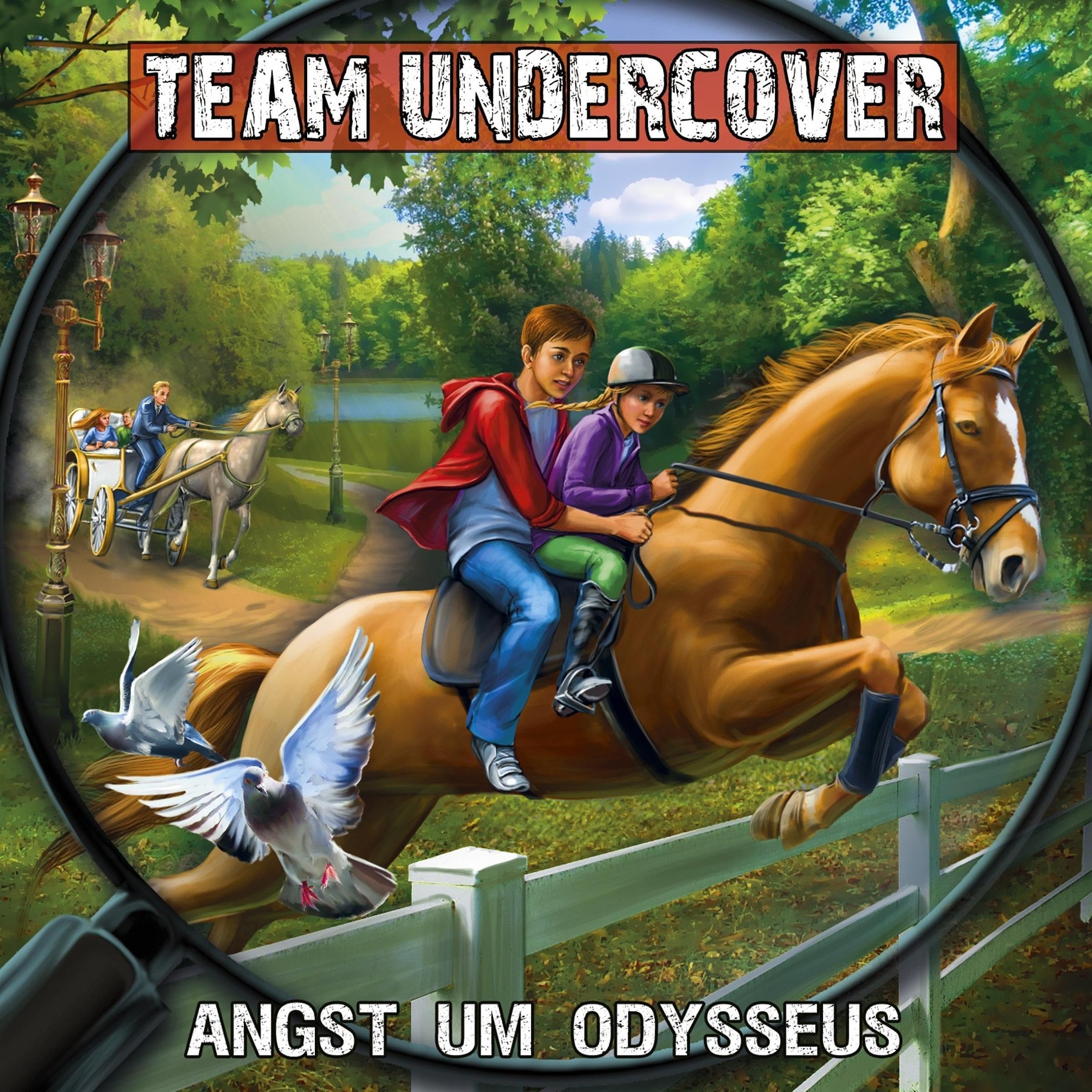 Cover art for Angst um Odysseus