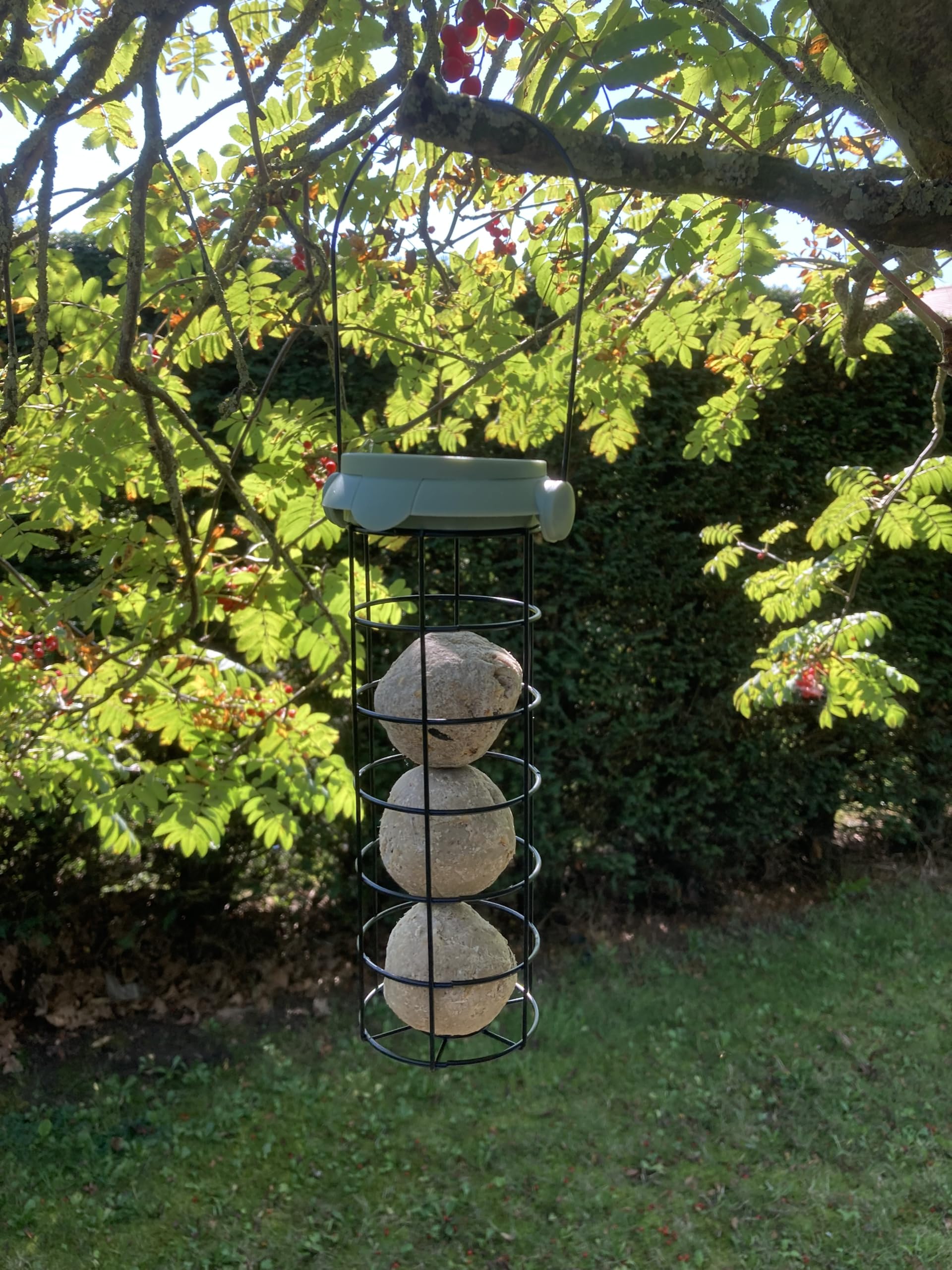 Oakdale Flip Top Premium Filled Fatball Garden Wildbird Birdfeeder, Multicolor - Image 3
