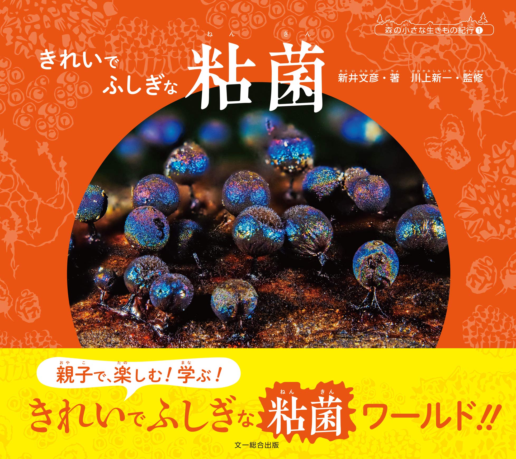 まき散らす菌糸生物 英語版 4枚➕コジレックの命令4枚 匿名配送 91ZhFrustRL.jpg