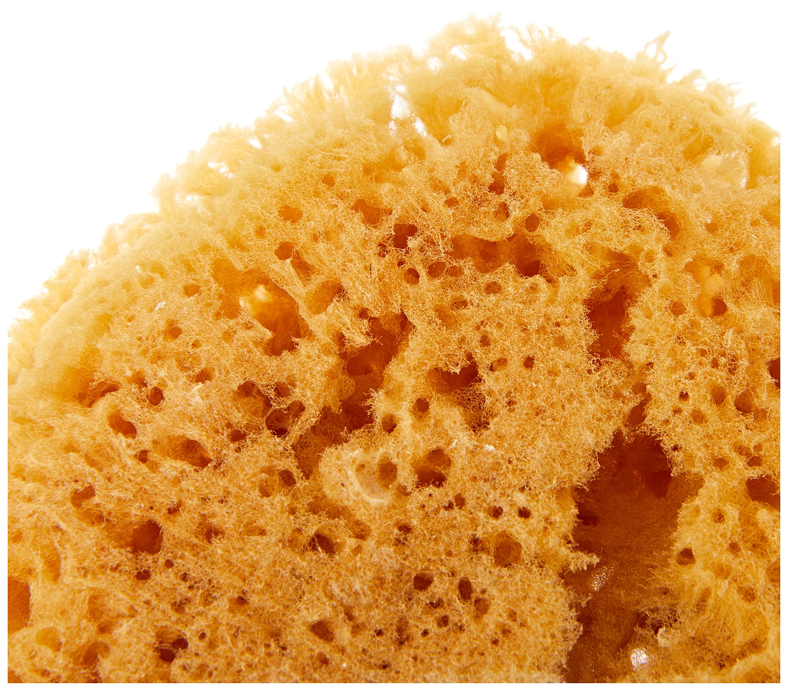 Naturschwamm P130 Premium