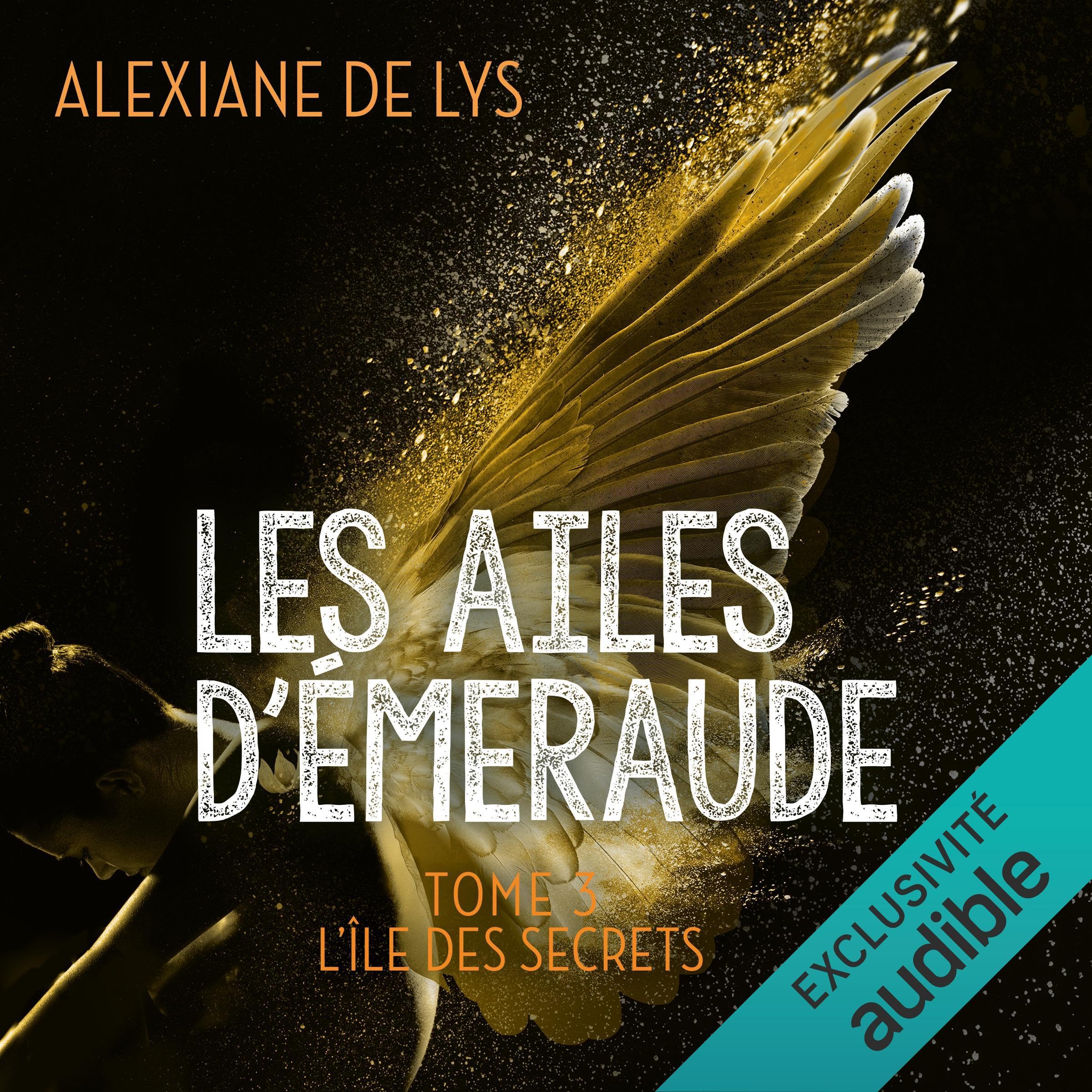Cover art for L'île aux secrets