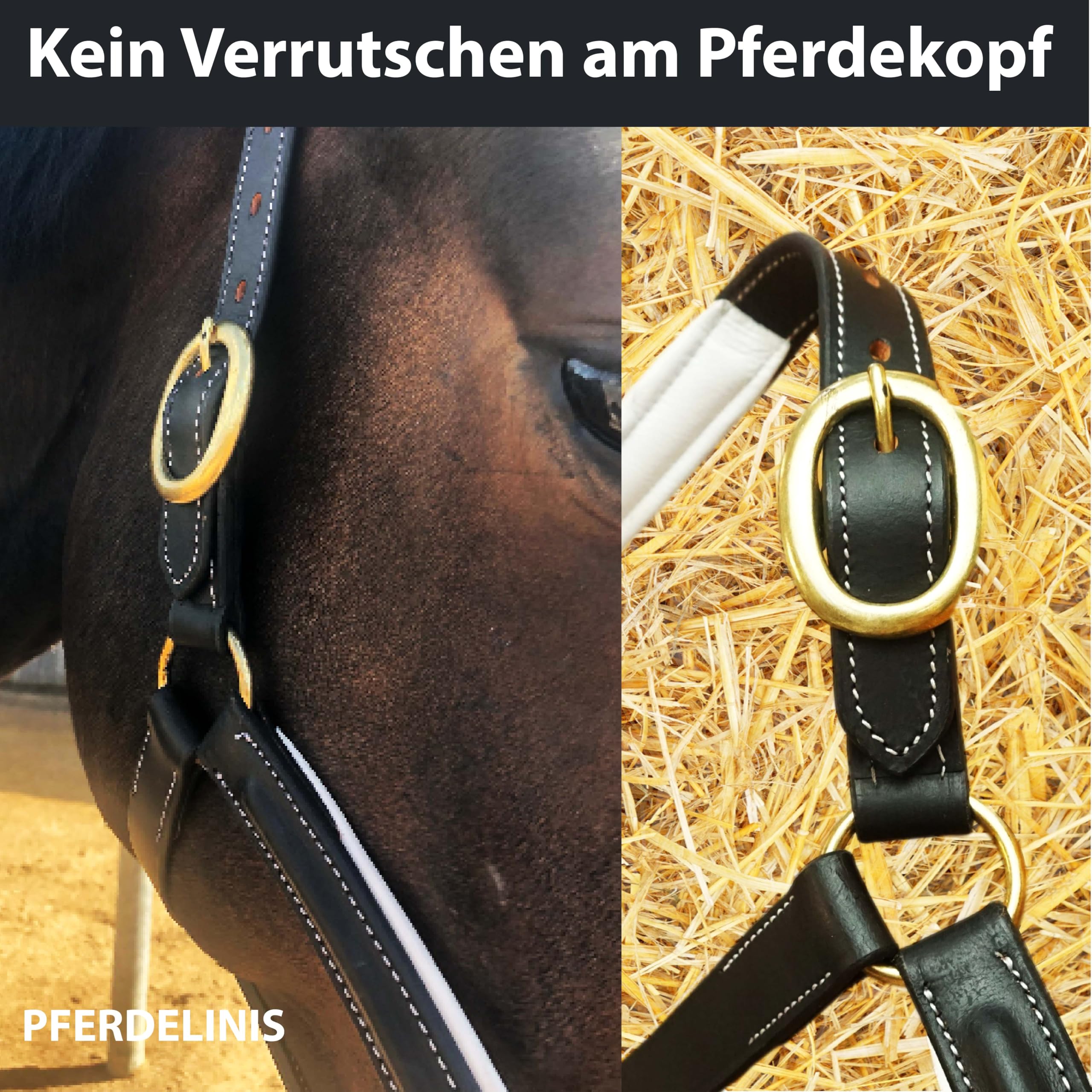 Cabestro de cuero negro para caballos, cabestro de establo premium en pony, sangre caliente, mazorca, sangre fría, seguro y resistente (cabestro de cuero + punto, pony)