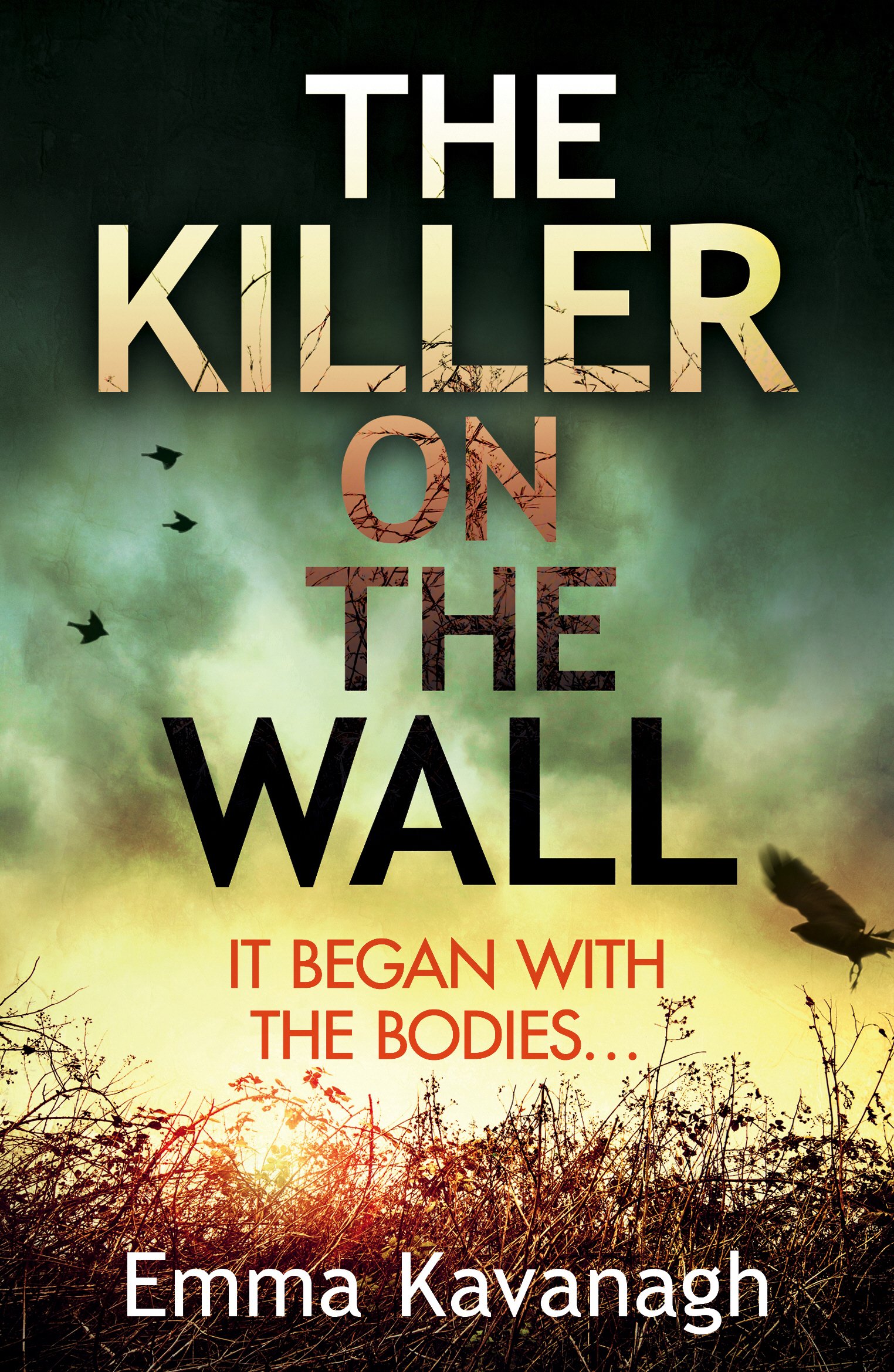 The Killer On The Wall By Emma Kavanagh