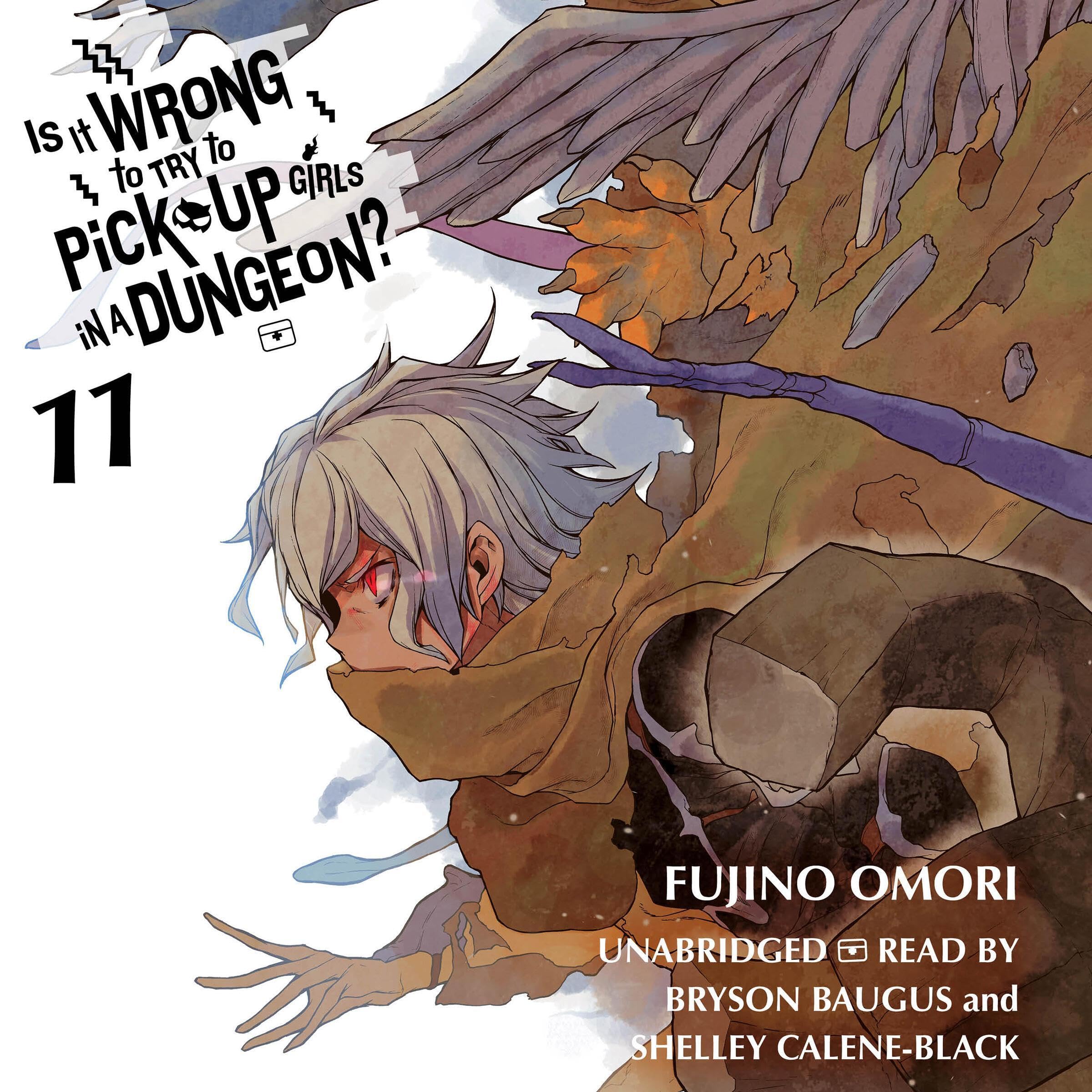 Cover art for Is It Wrong to Try to Pick Up Girls in a Dungeon?, Vol. 11