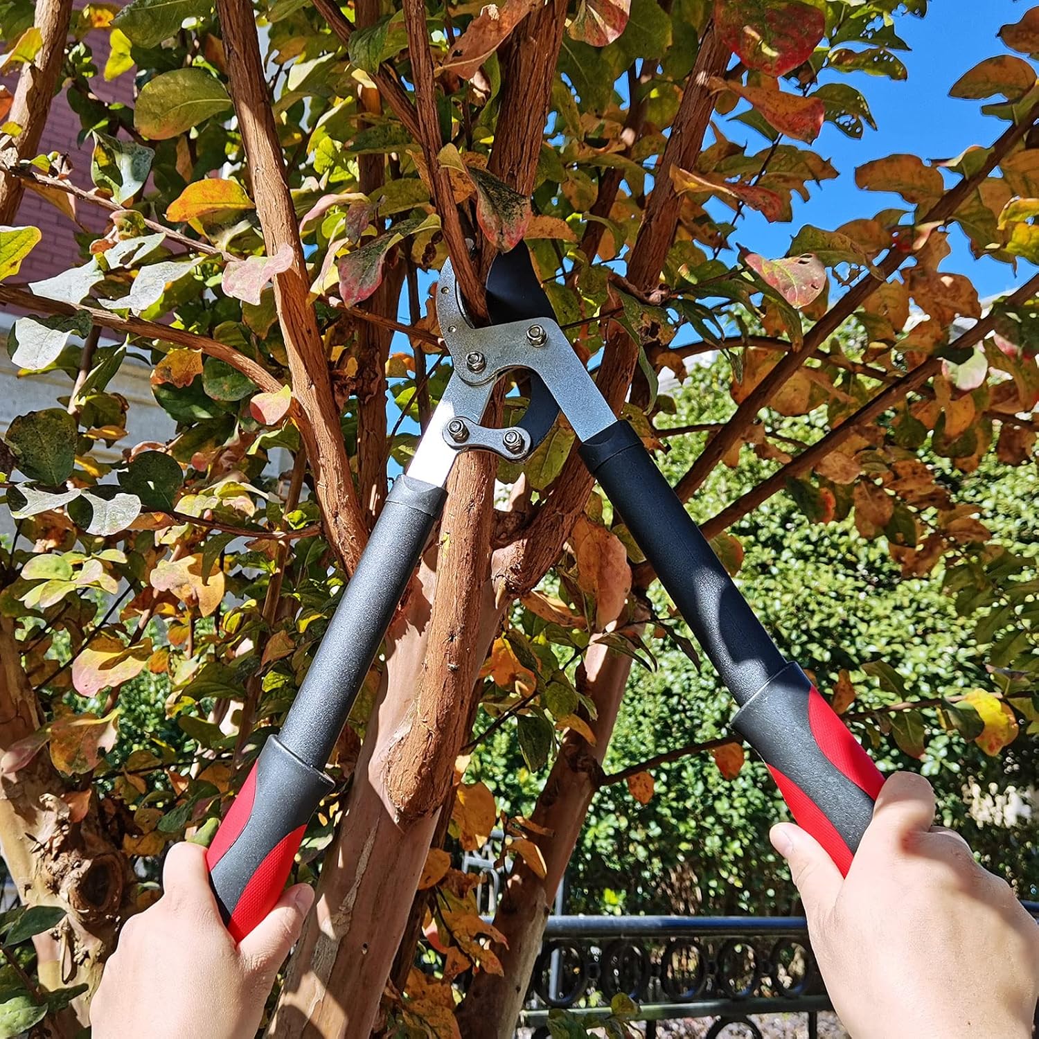 Lopper Heavy Duty Branch Cutter, YRTSH Tree Clippers with Compound Action, Chops Thick Branch Ease, Garden Loppers Pruning, 18 Inch Tree Trimmer with 1.6” Clean Cut Capacity (18 Inch)