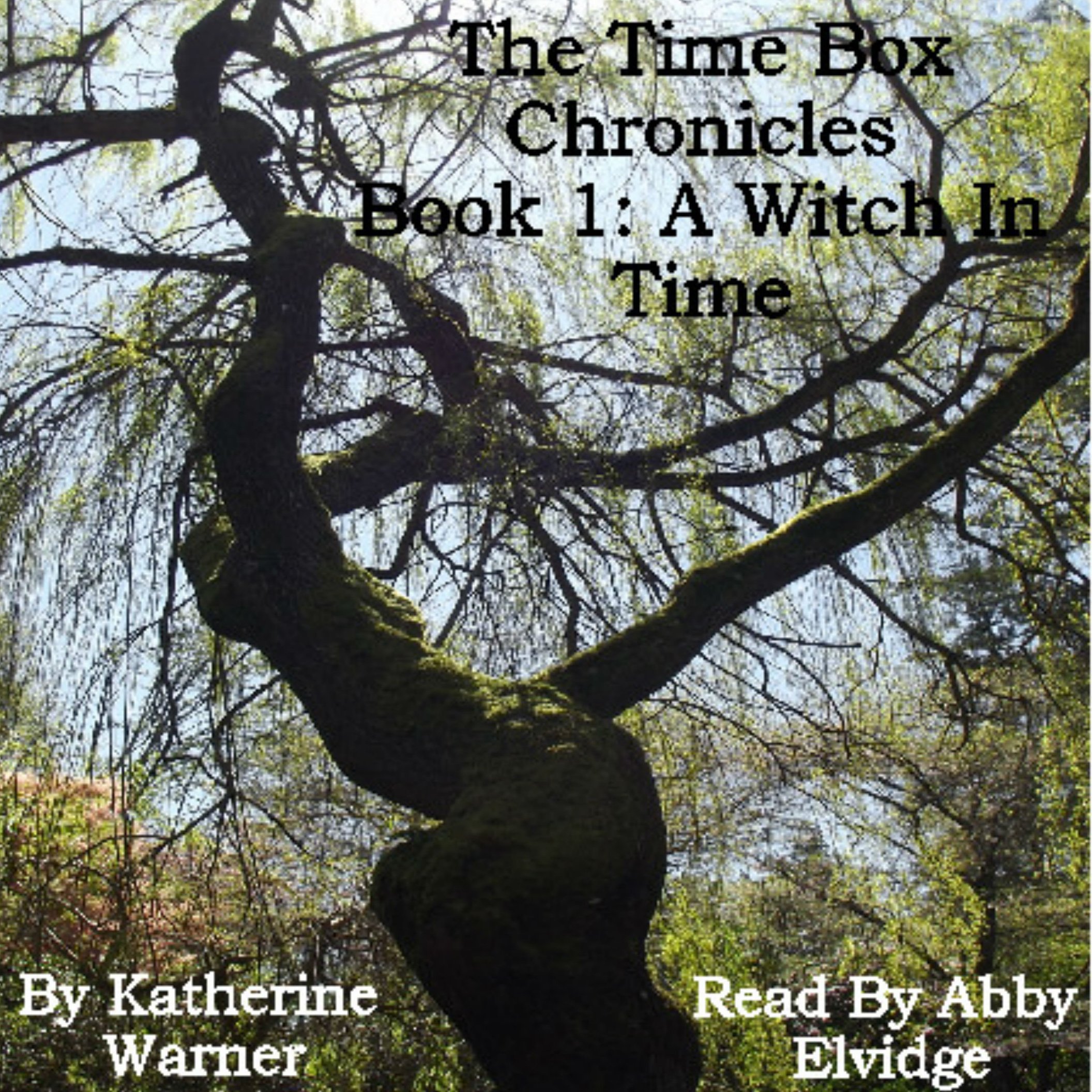 Cover art for A Witch In Time: The Time Box Chronicles Book 1