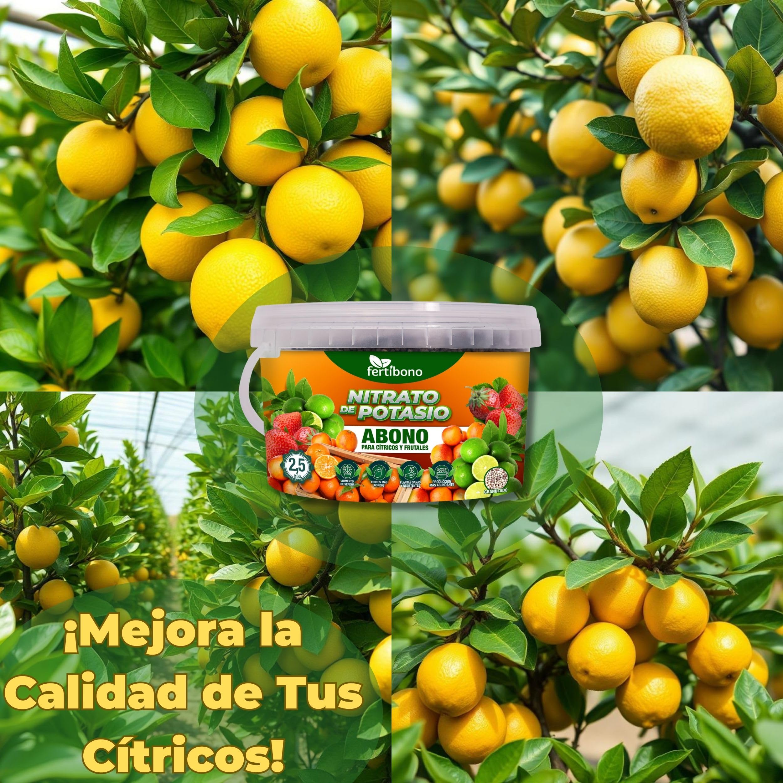 FERTIBONO Nitrato de potasio,Puro (KNO3) 13-00-46, Aumenta el Tamaño y la Calidad de la Fruta, los Azúcares y el Rendimiento de los Cítricos (2.5.0)