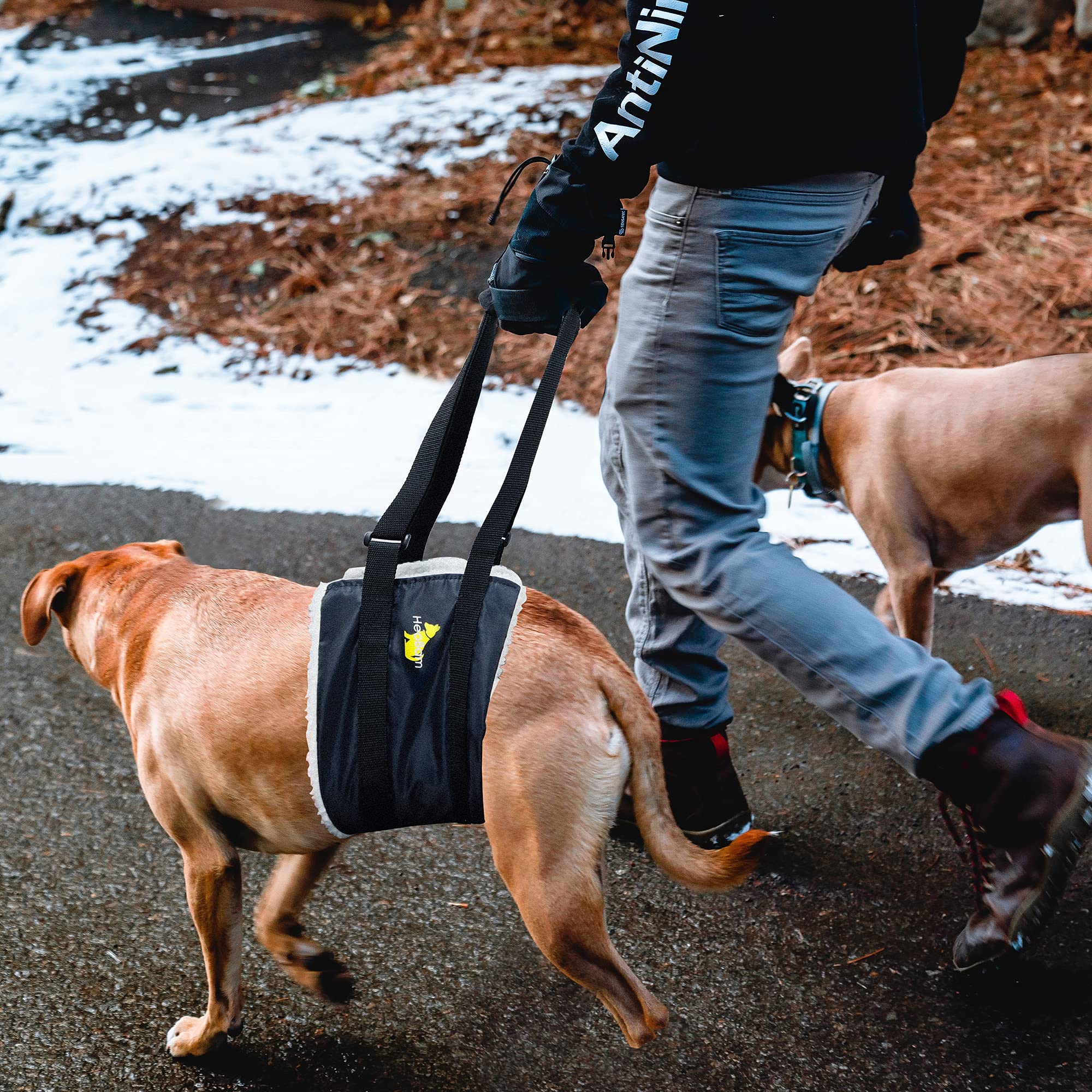 HeoBam Dog Portable Lift Harness Support Sling/Old Dogs/Assisted