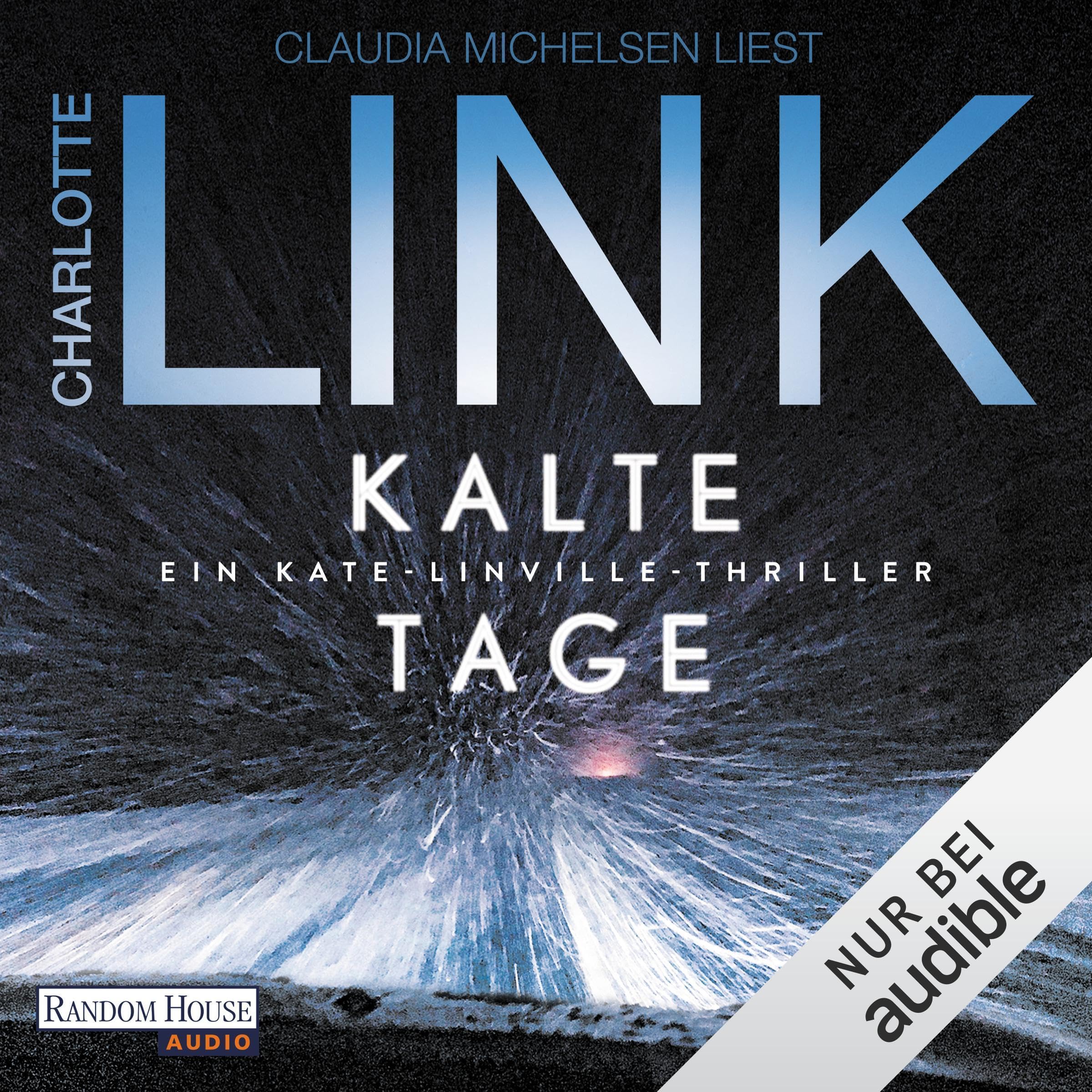 Cover art for Kalte Tage