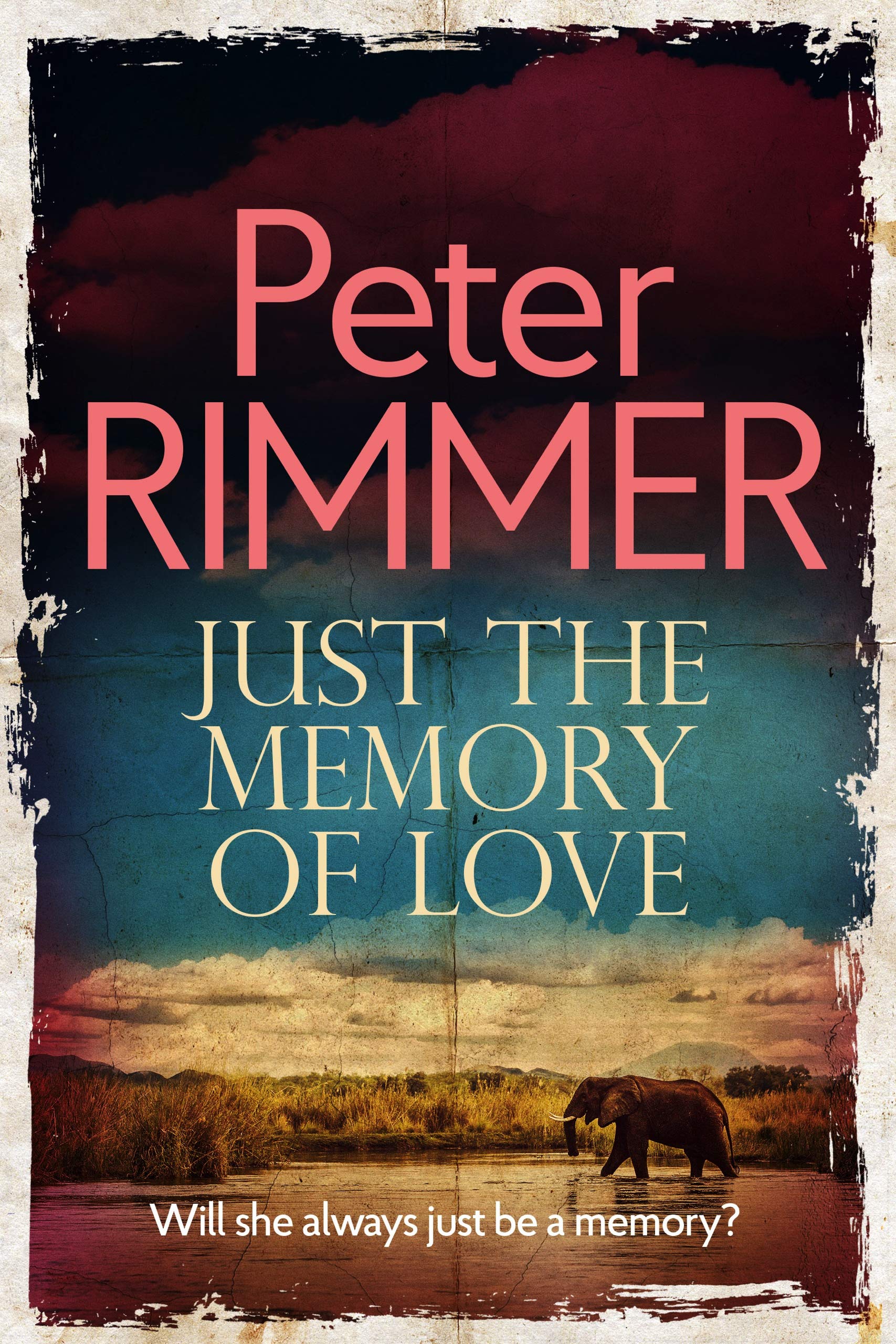 Just the Memory of Love (The African Book Collection 3)