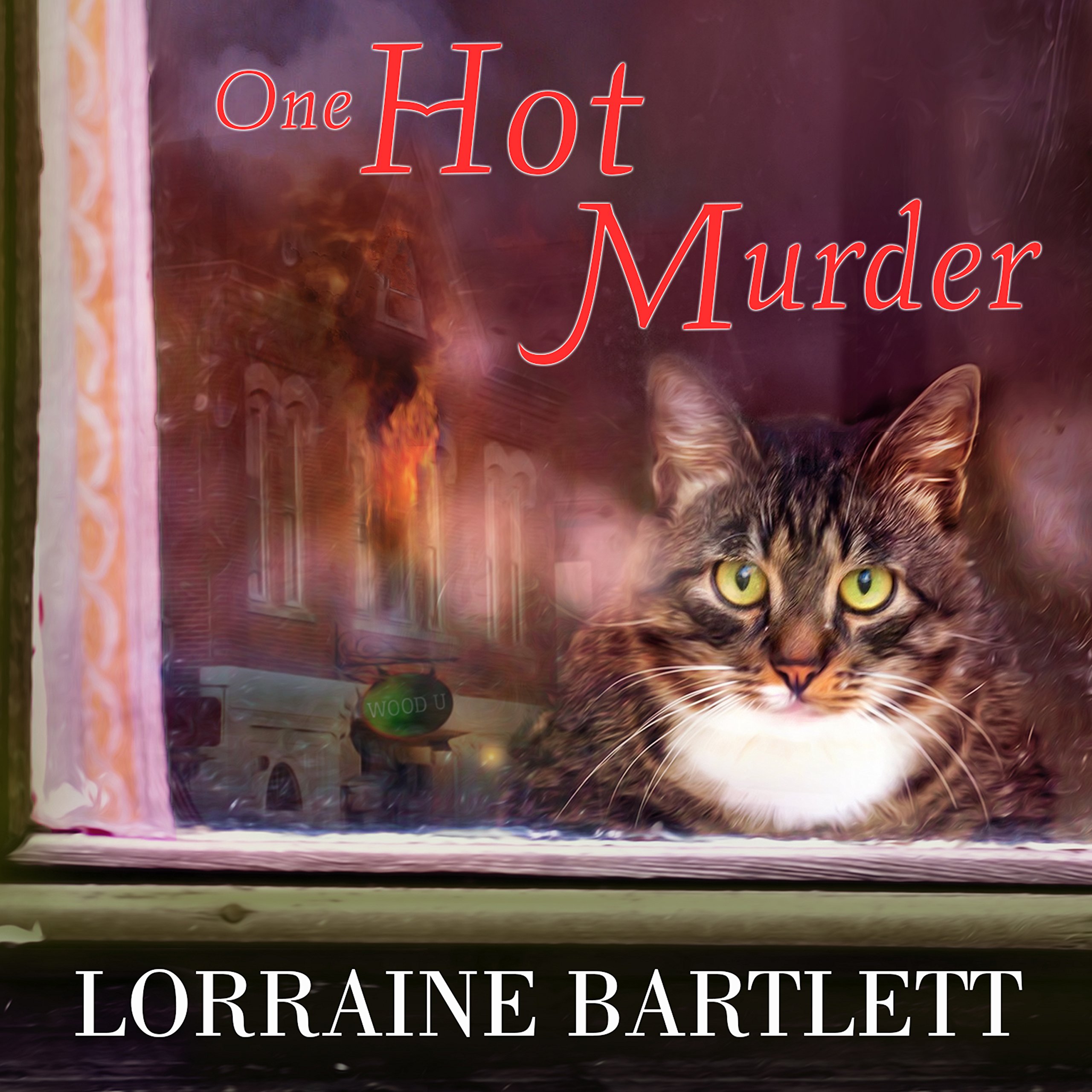 Cover art for One Hot Murder