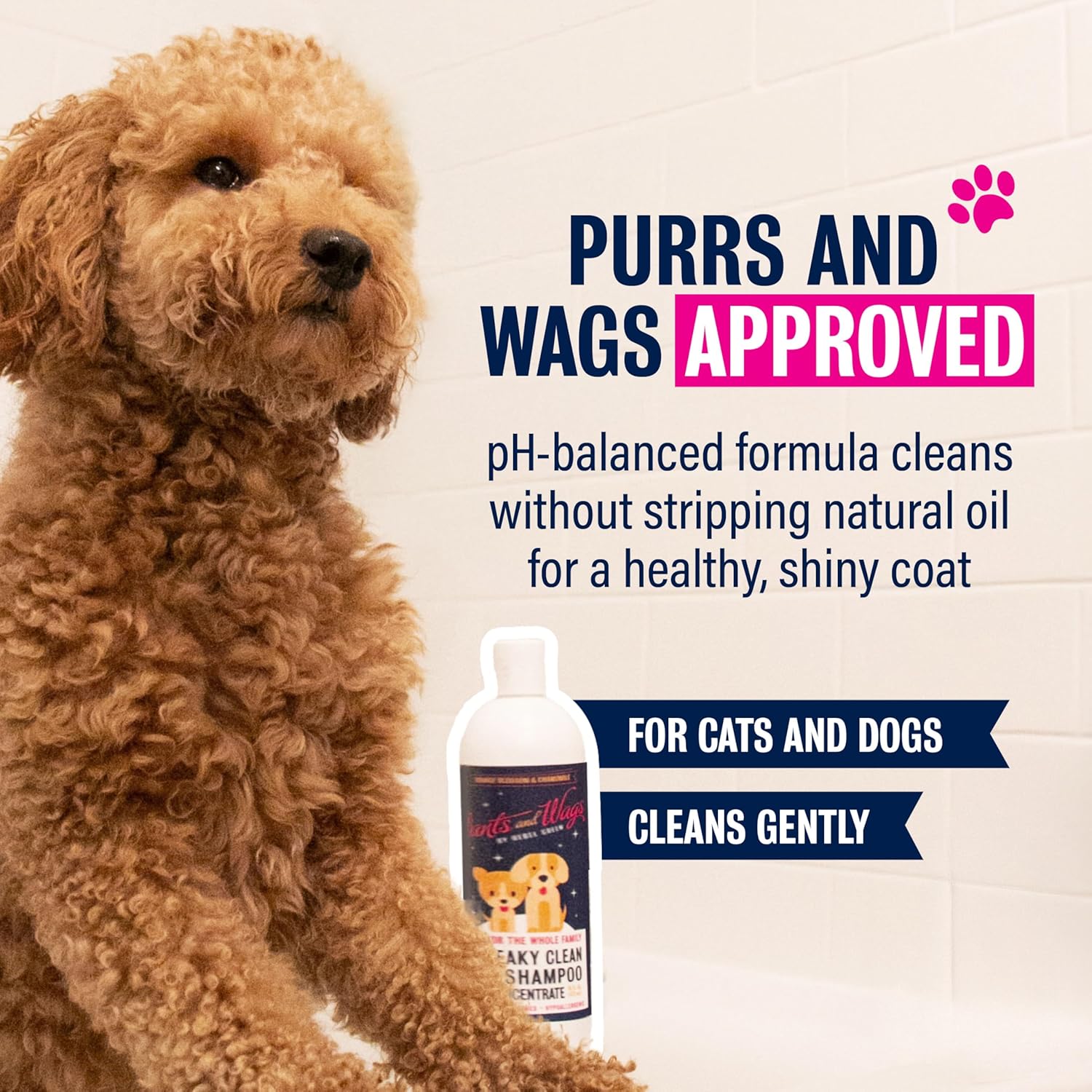 Pants and Wags by Rebel Green Squeaky Clean Pet Shampoo Concentrate - Orange Blossom & Chamomile - Hypoallergenic - No Dyes or Perfumes - 16 oz - 2 Pack