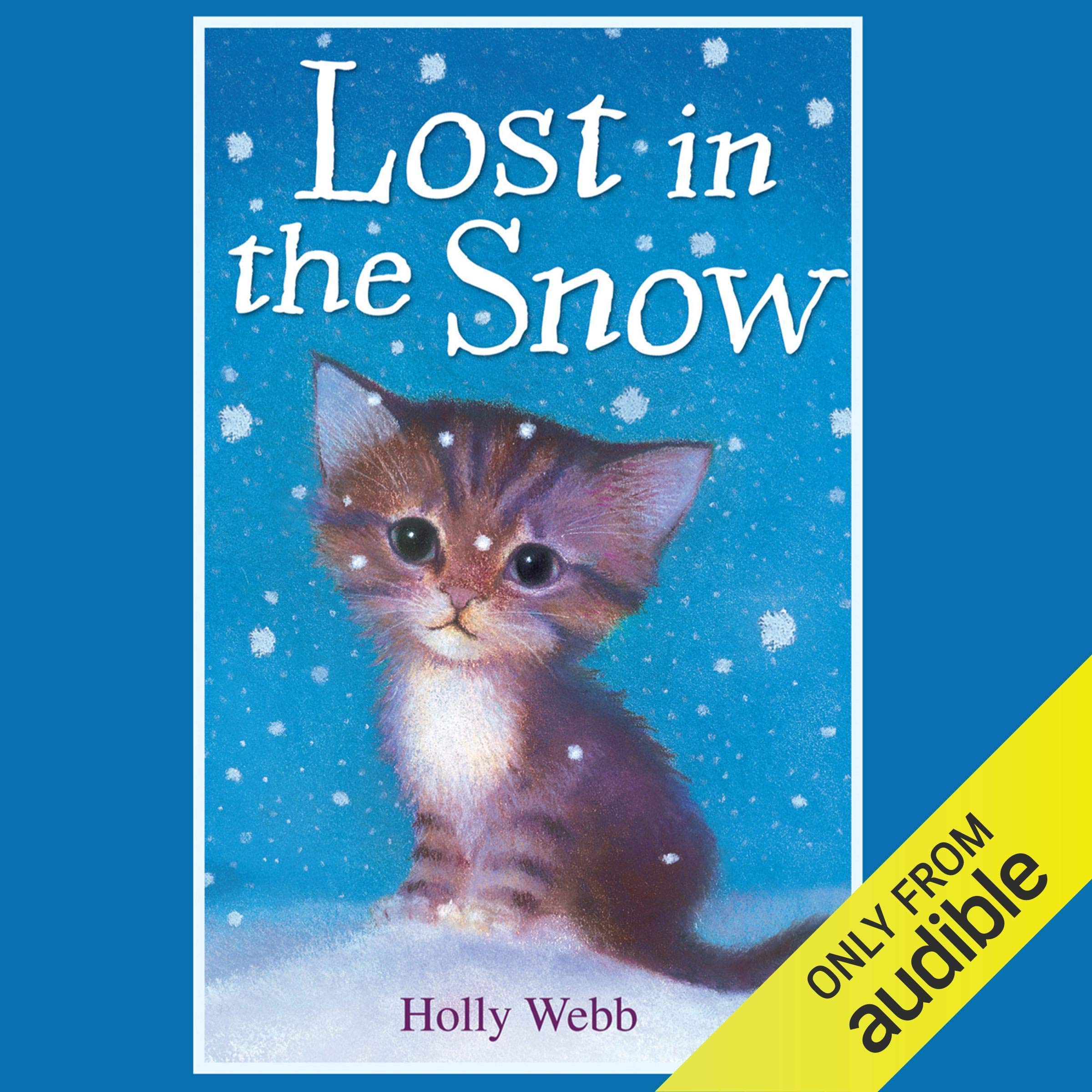 Cover art for Lost in the Snow