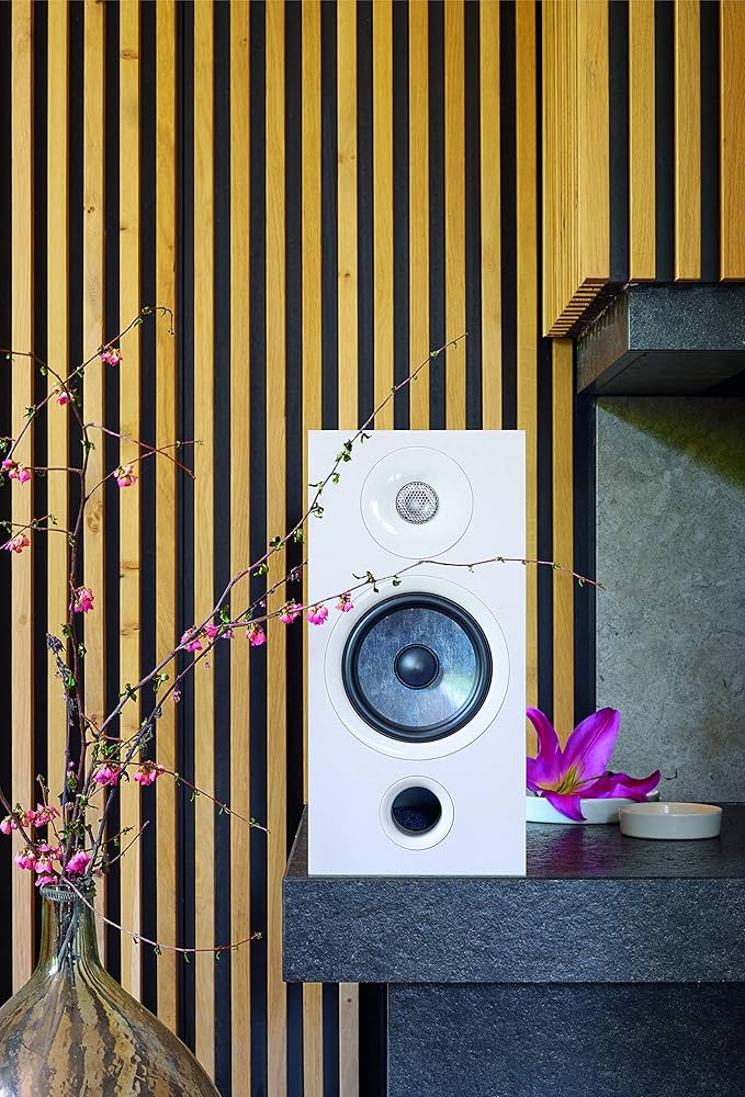 Amazon.co.jp: Focal Chora 806 2ウェイ ベースリフレックス