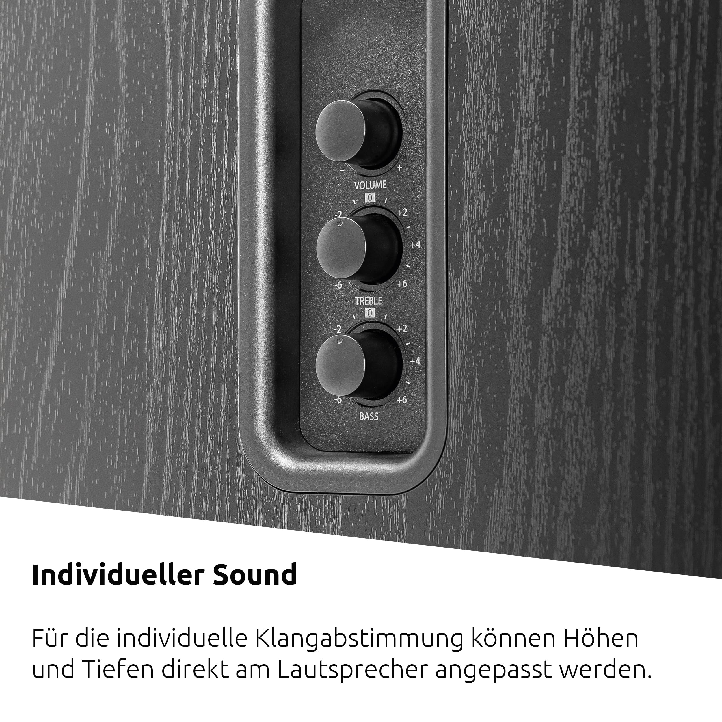 TechniSat AUDIOMASTER RLS 1 - Aktive 2.0 Regallautsprecher